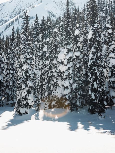 Helicopter sitting on the snow surrounded by snow covered trees.