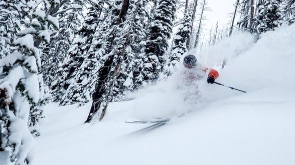 Skier in an orange jacket and black helmet skiing through deep snow in a forested area, with snow-covered trees and powder being kicked up around them.