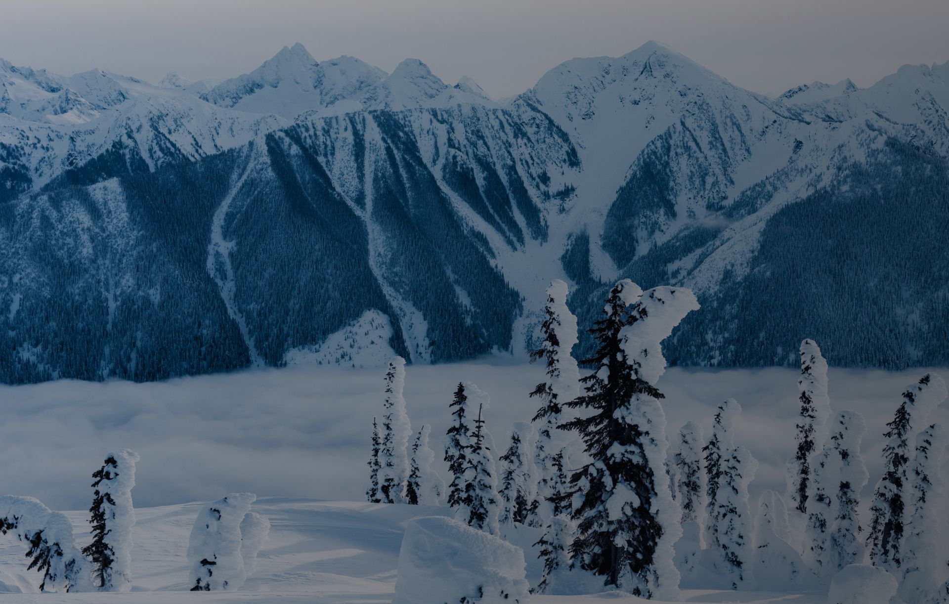 Snow-covered trees in the foreground with towering mountain peaks and a layer of clouds below.