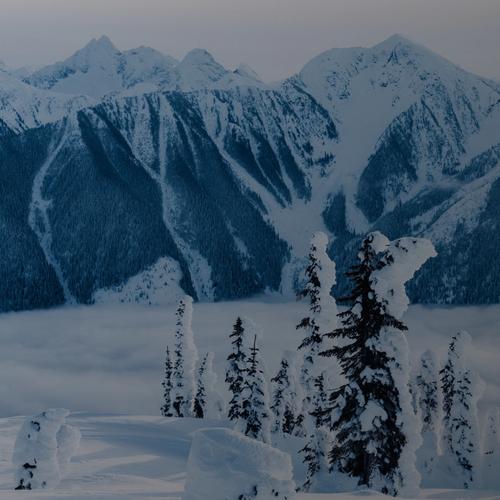 Snow-covered trees in the foreground with towering mountain peaks and a layer of clouds below.