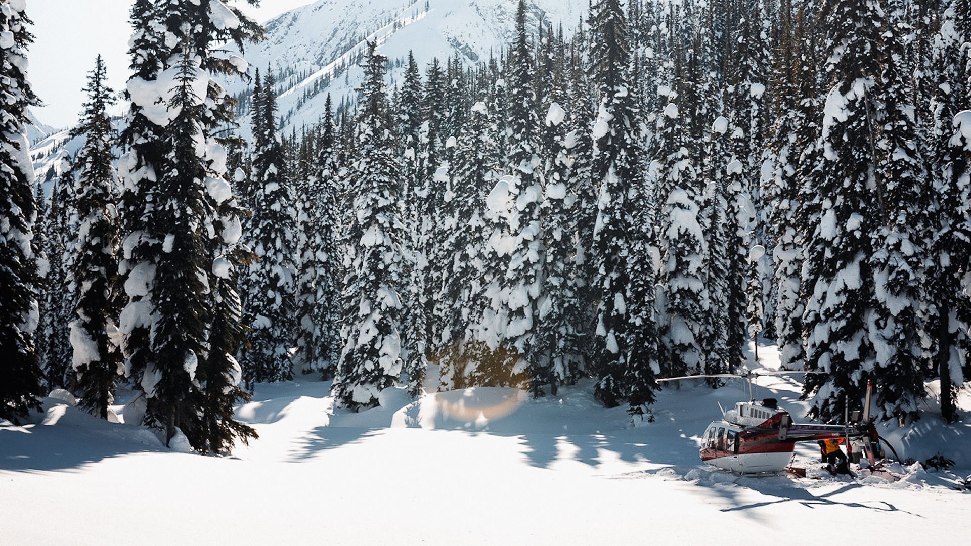 Helicopter sitting on the snow surrounded by snow covered trees.