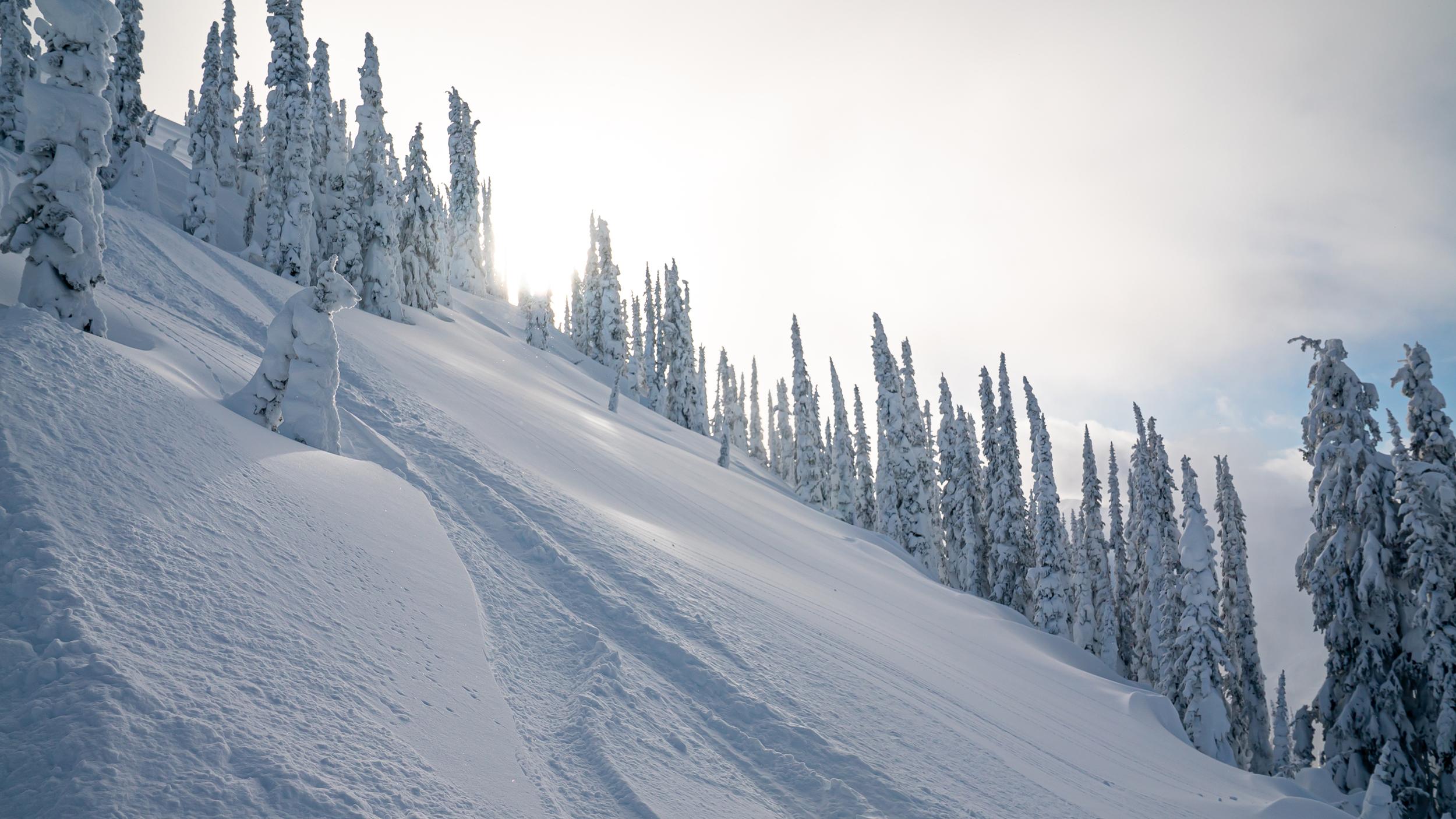 Snowy mountain side