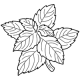 Menthe fraîche