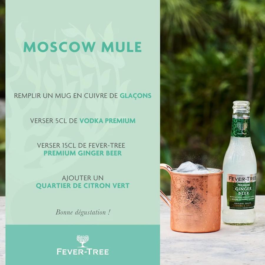 Ginger Beer — Fever-Tree (24 canettes de 15 cl) — image 3