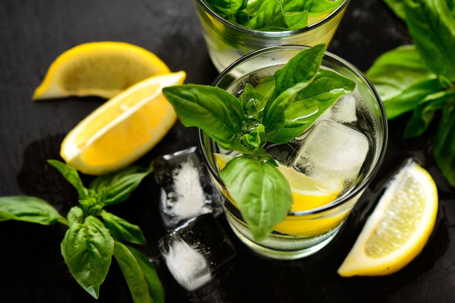 Black Basil