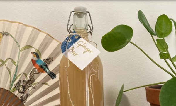  Ginger Beer maison