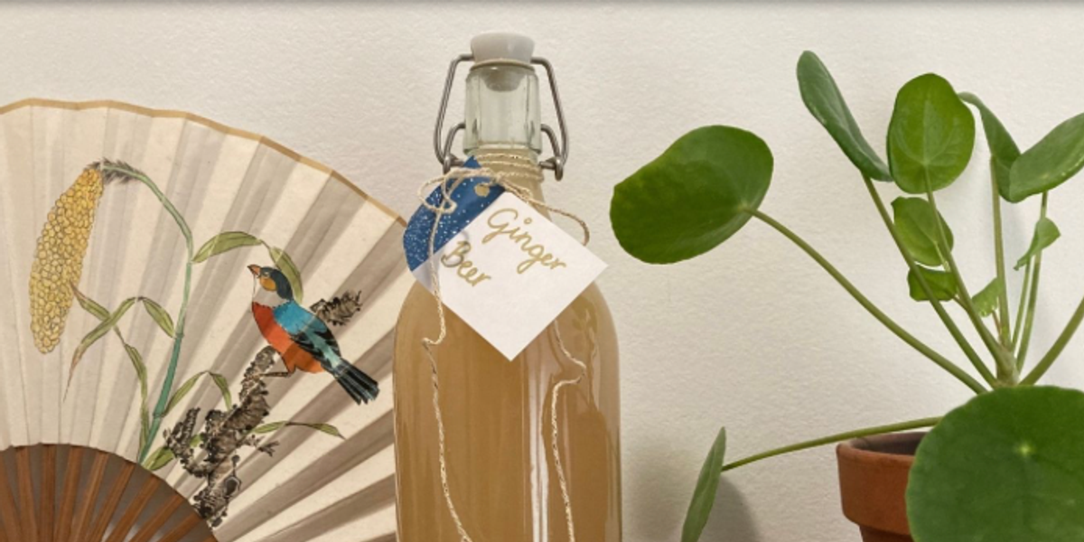  Ginger Beer maison