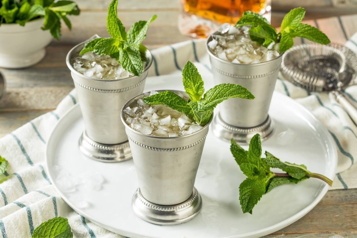 Cocktail Mint Julep
