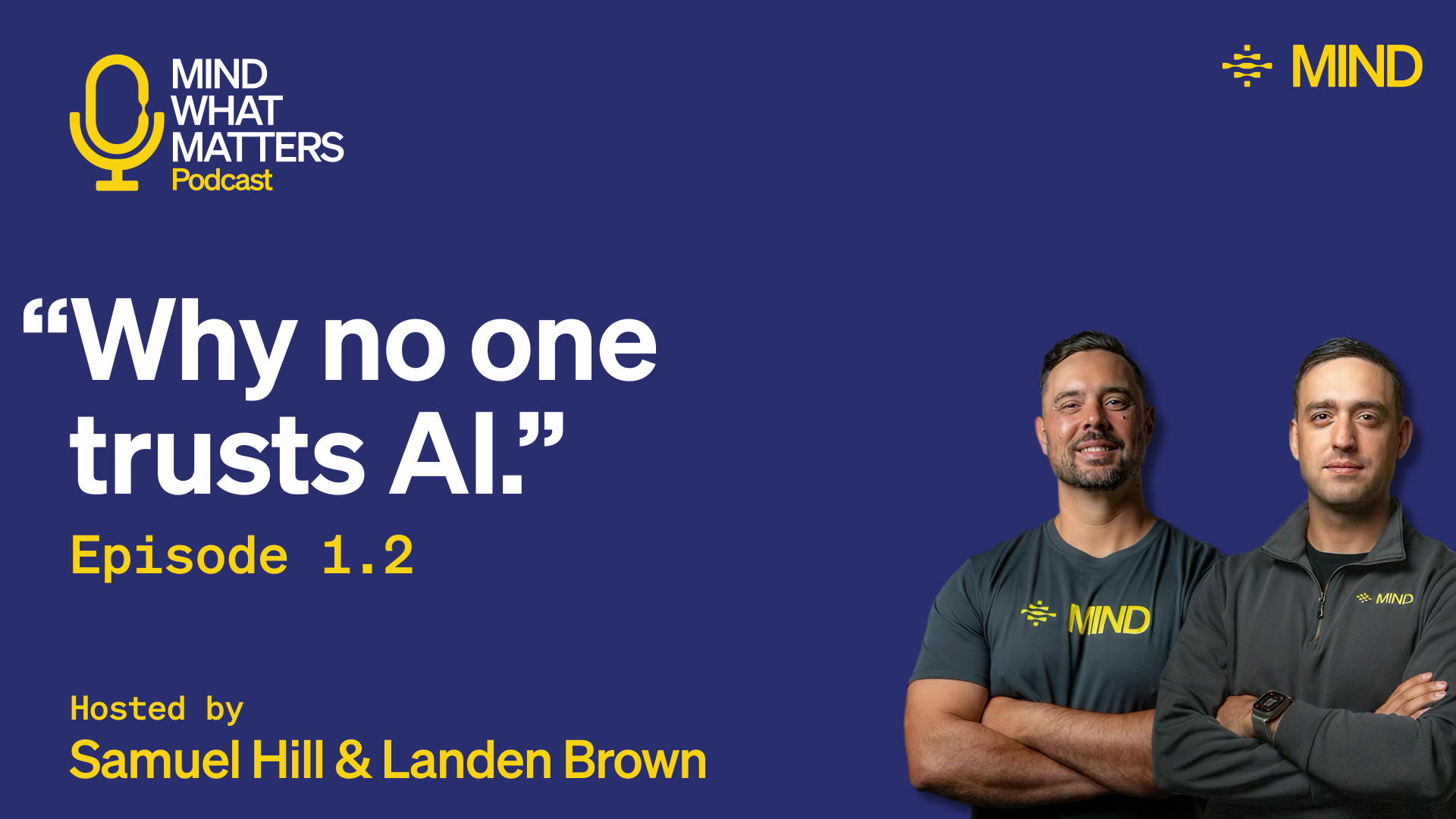 Why no one trusts AI