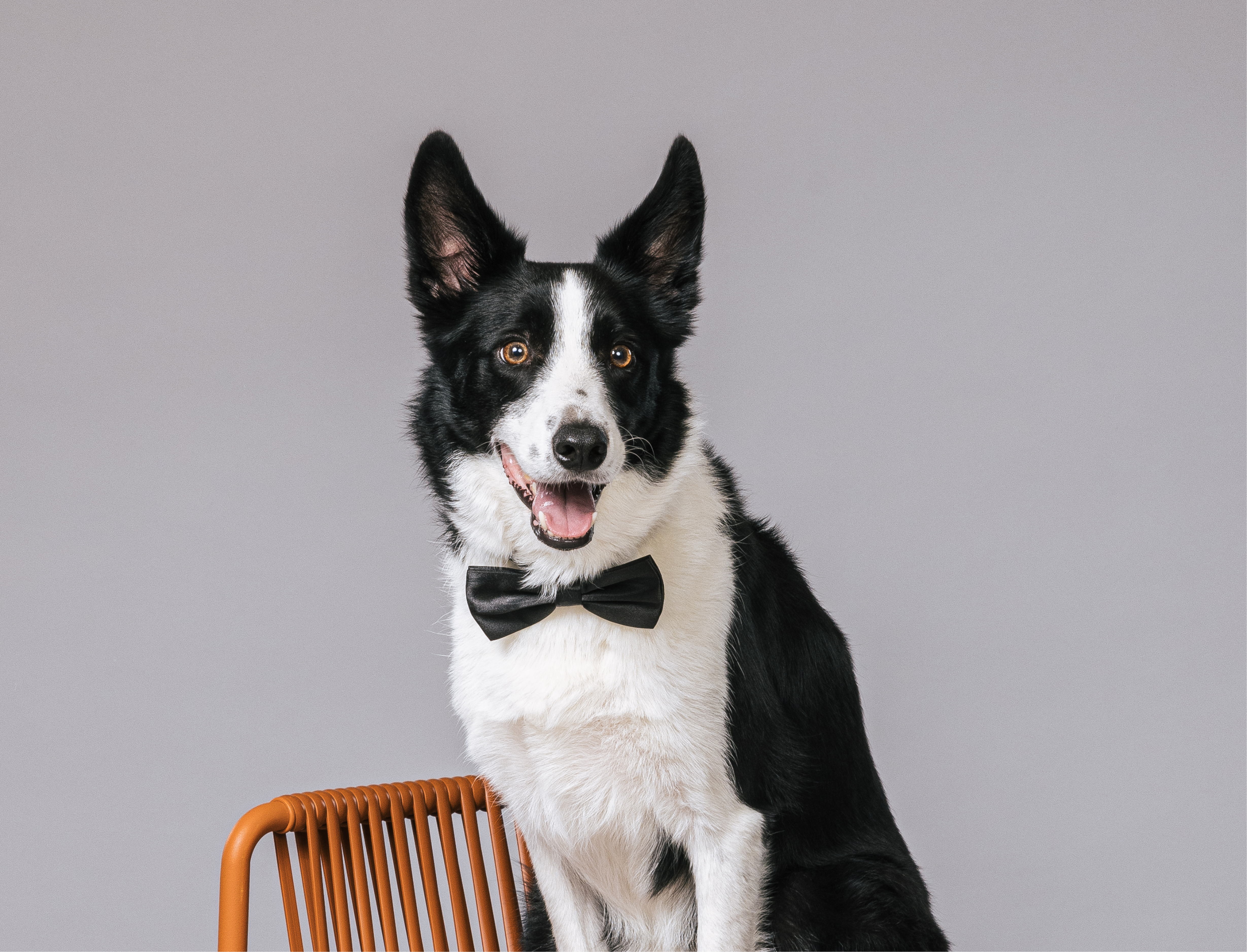 MINDer sharing why they love MIND