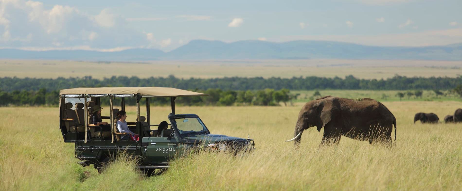 Masai-Mara-high-end-game-drive