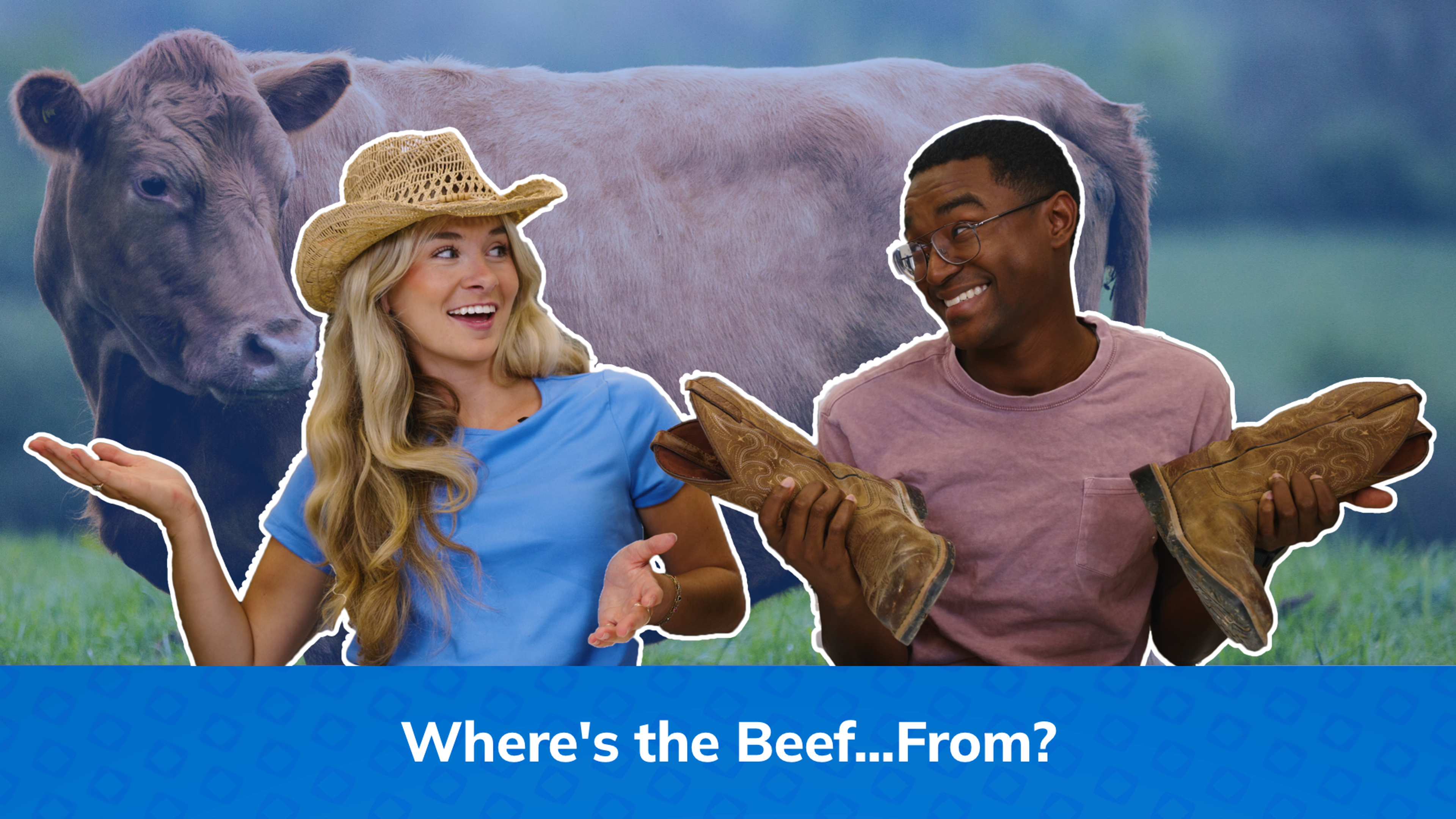 Where's the Beef...From?