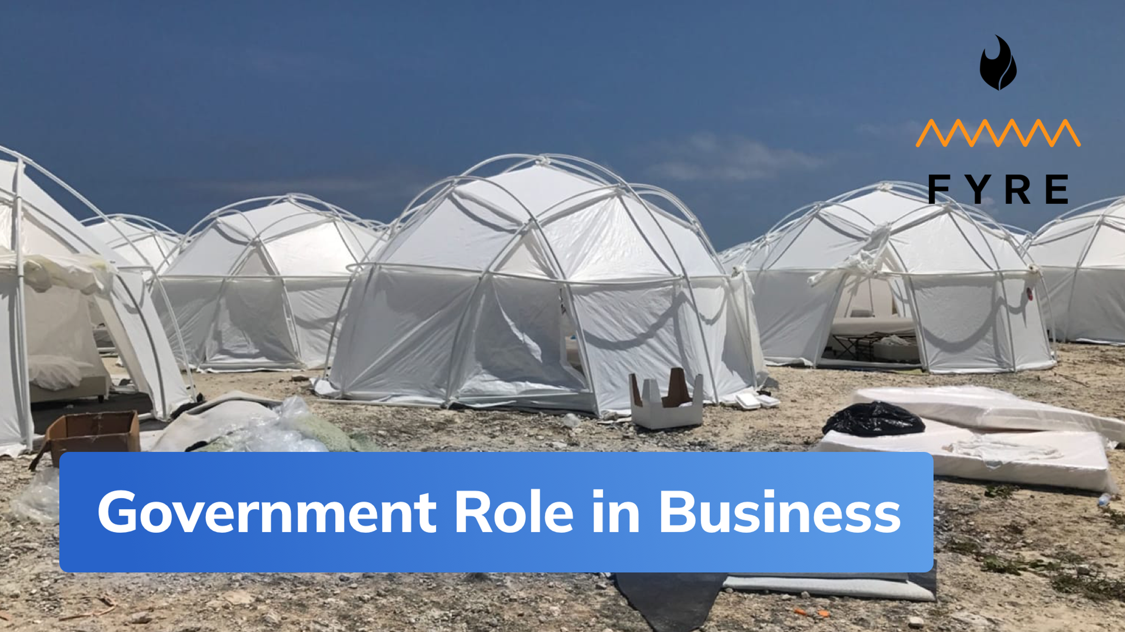 Government Role in Business