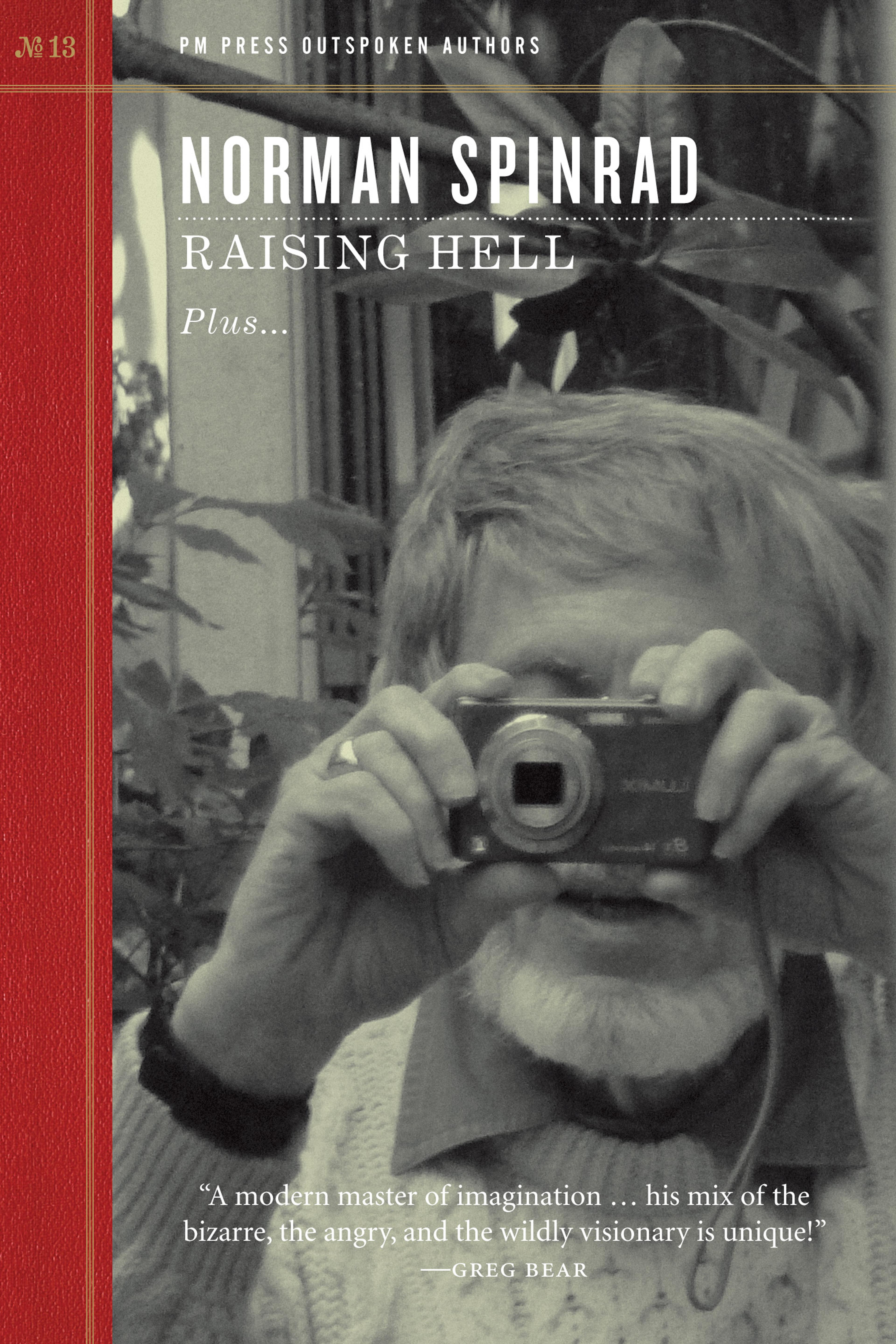 Cover of book titled Raising Hell