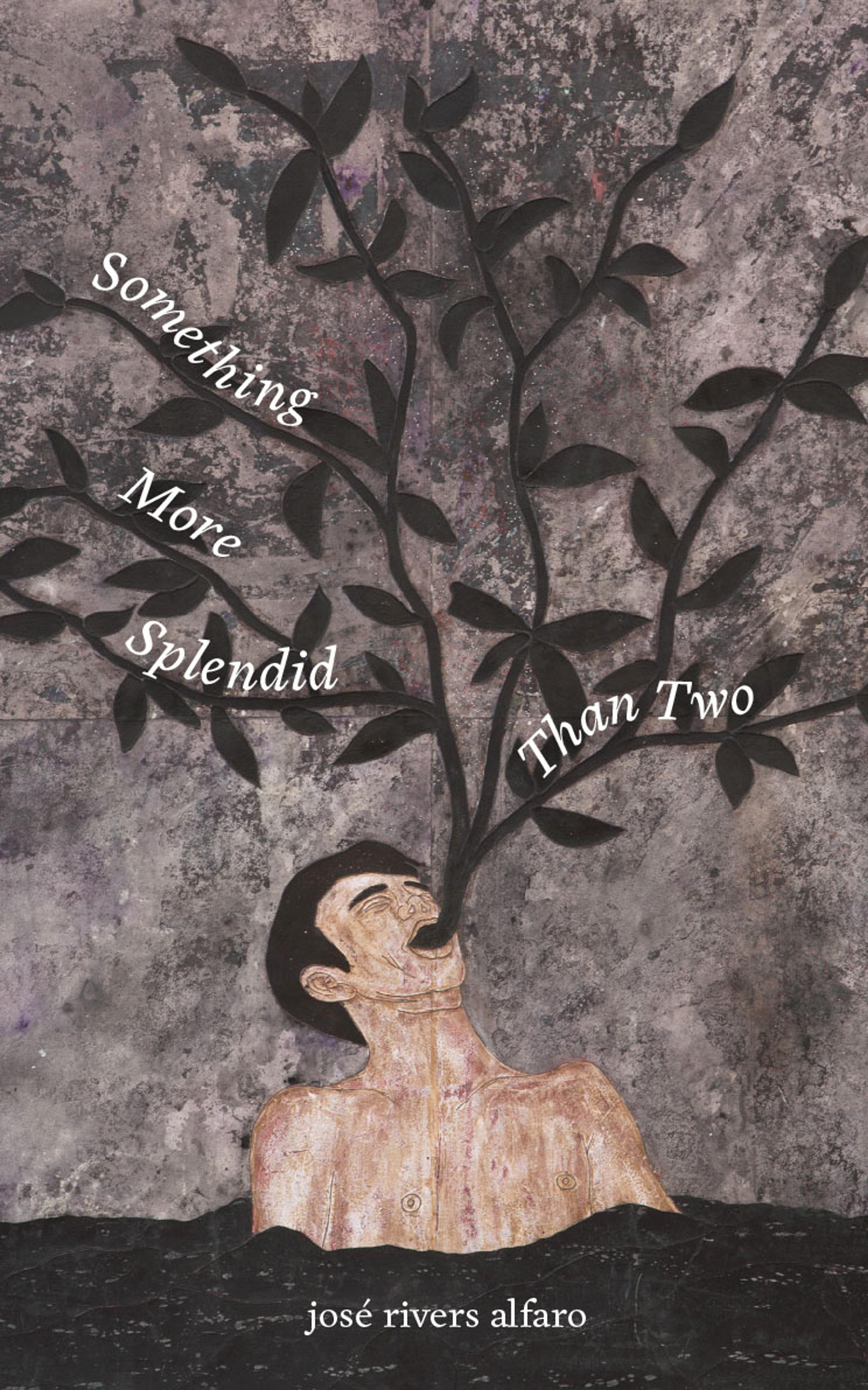 Cover of book titled Something More Splendid Than Two