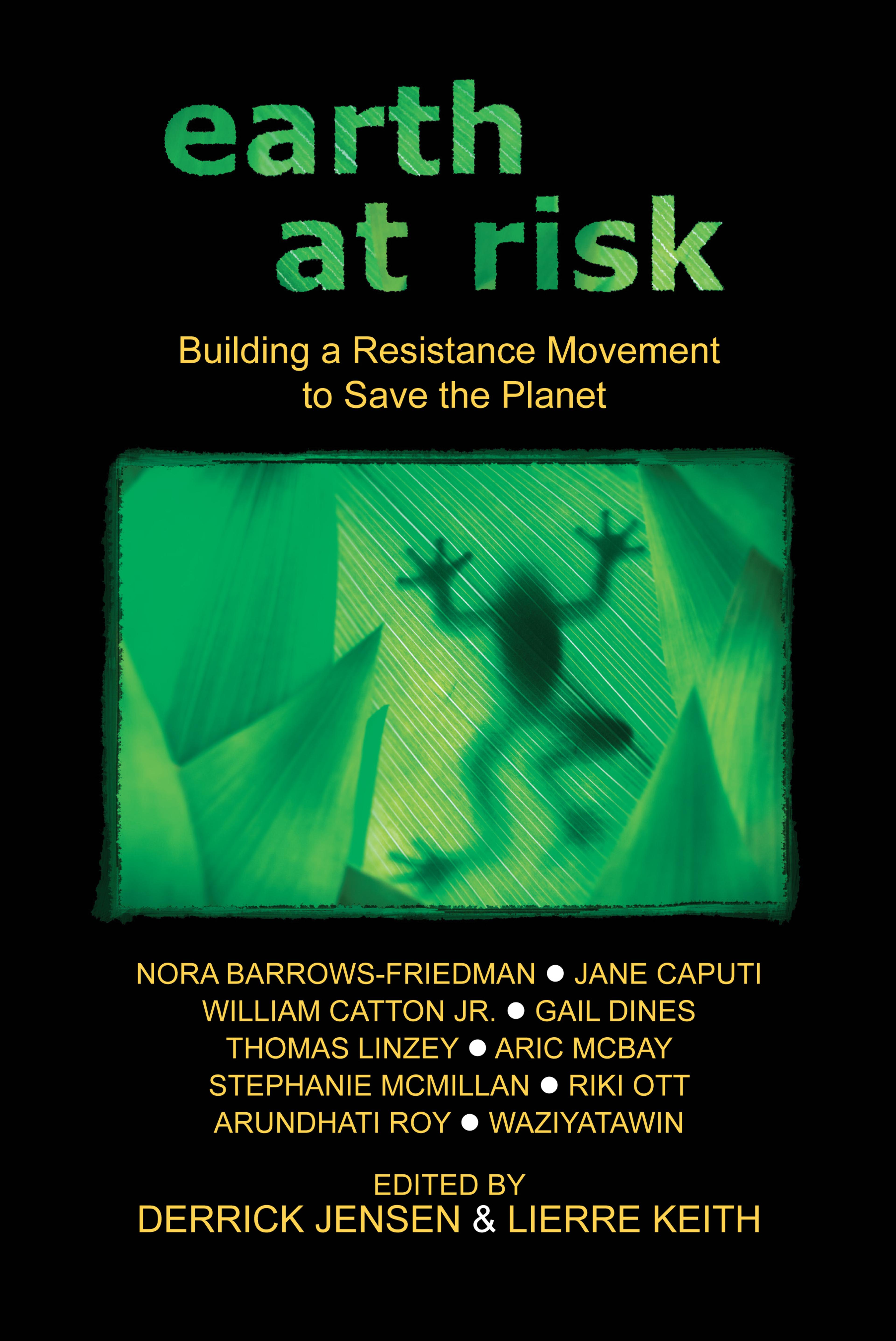 Cover of book titled Earth at Risk: Building a Resistance Movement to Save the Planet