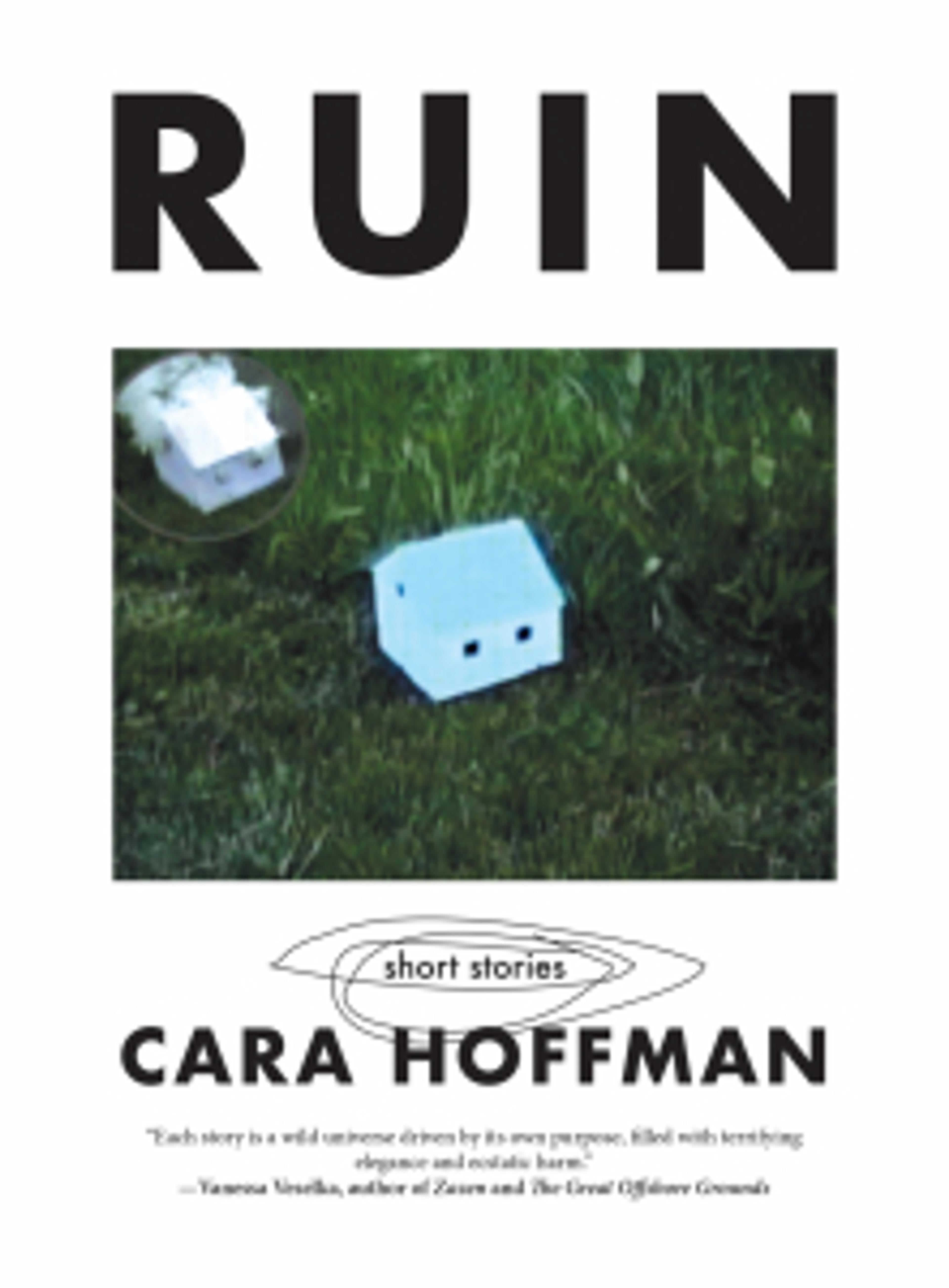 Cover of book titled RUIN