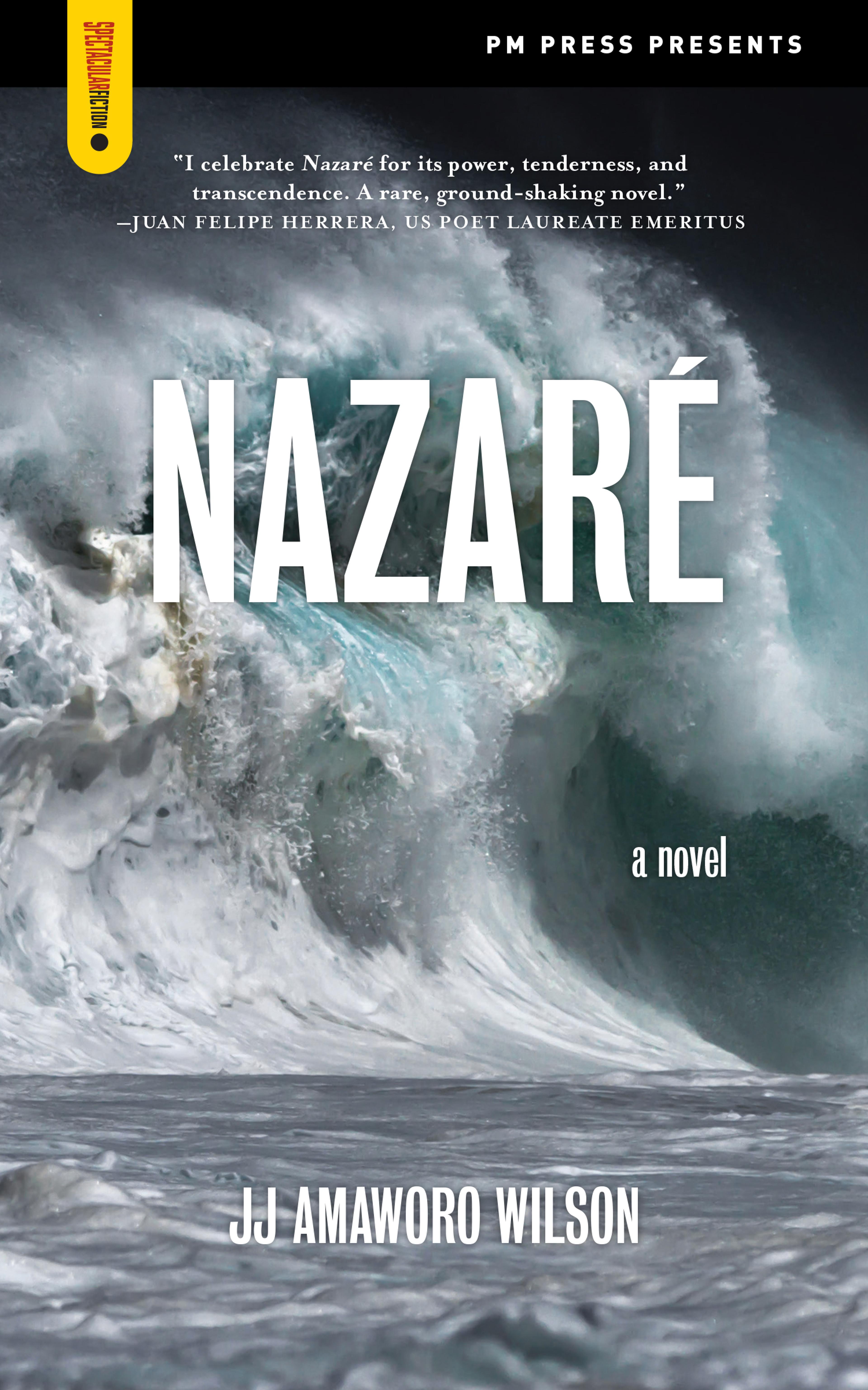 Cover of book titled Nazaré