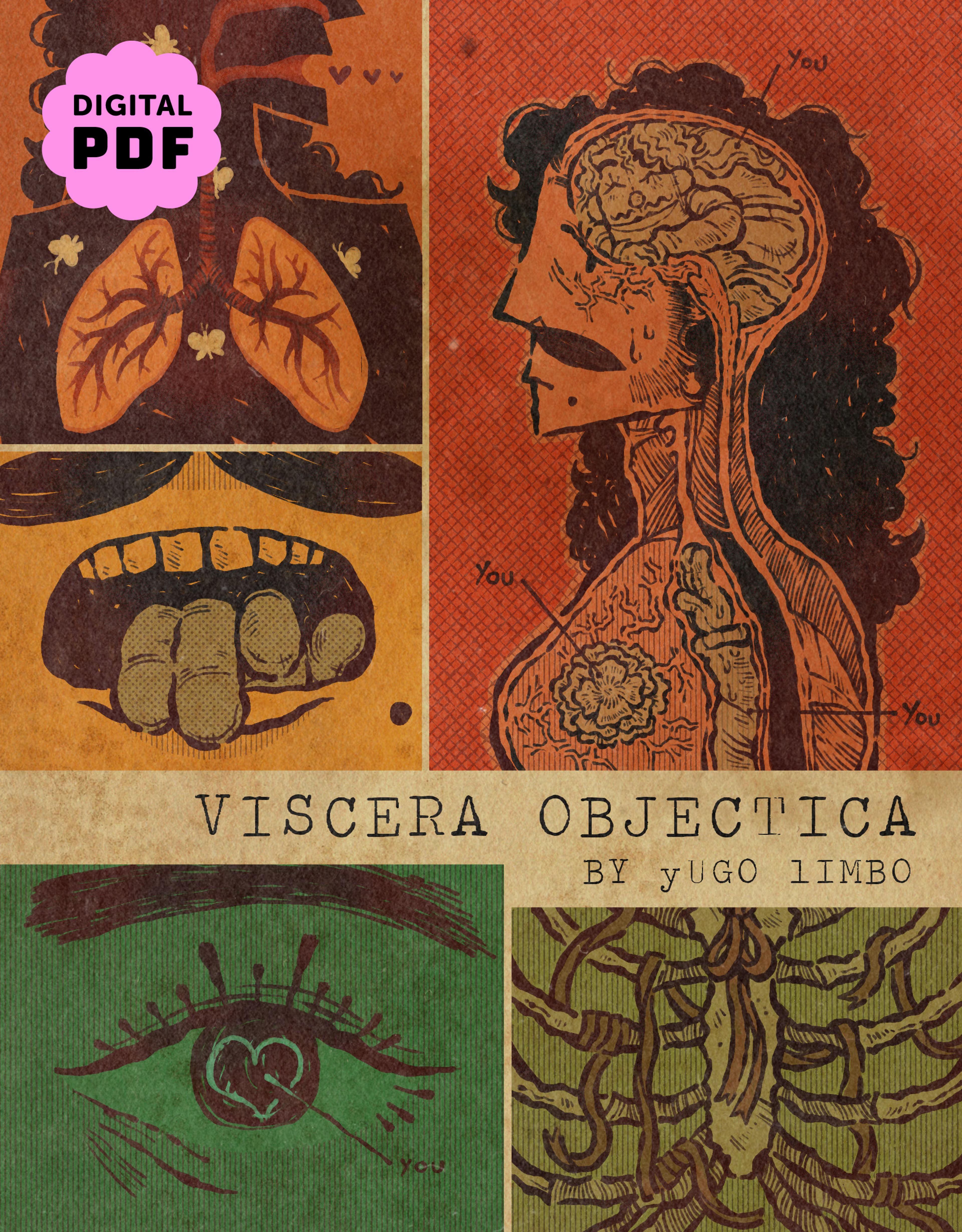 Cover of book titled Viscera Objectica