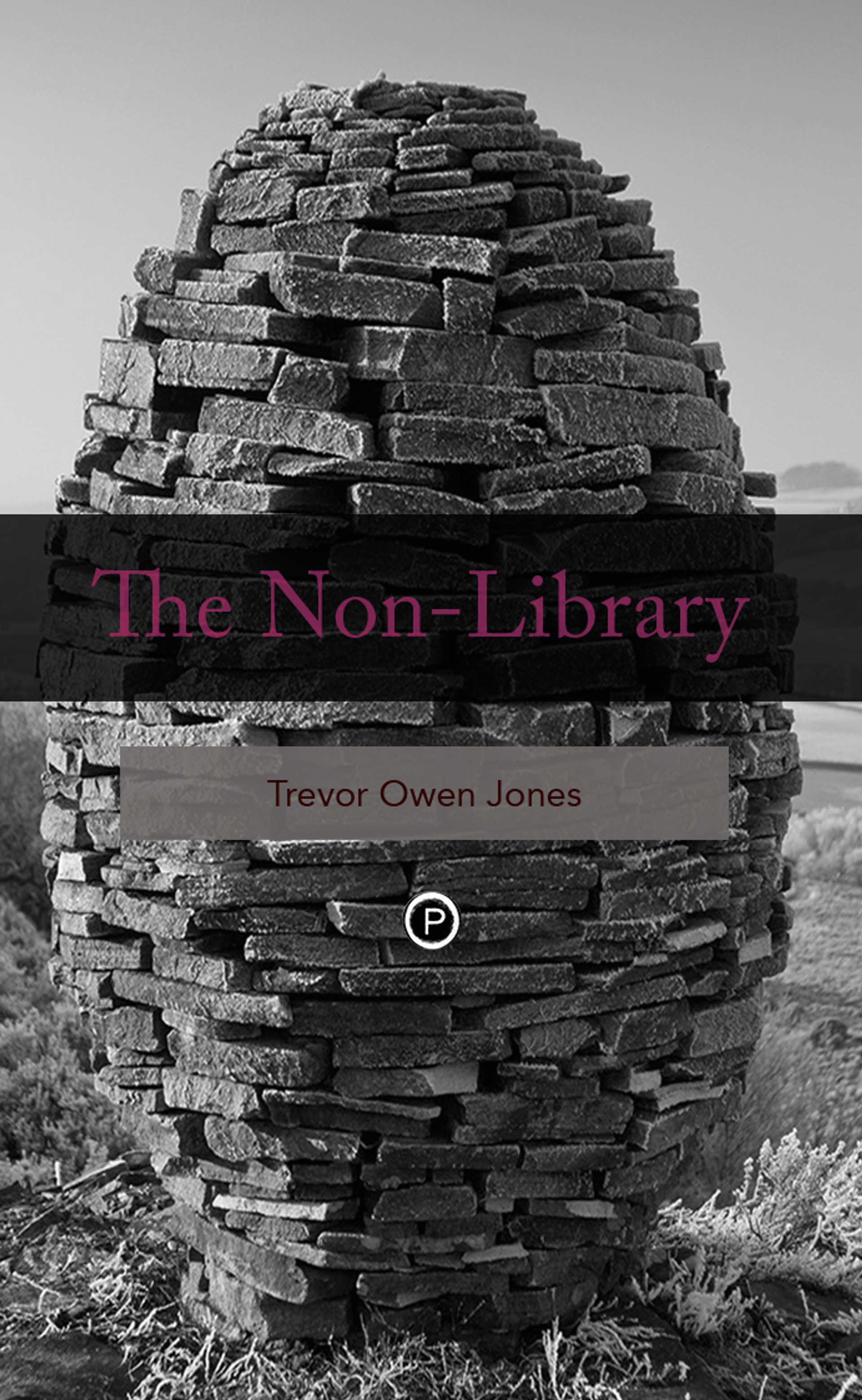 Cover of book titled The Non-Library