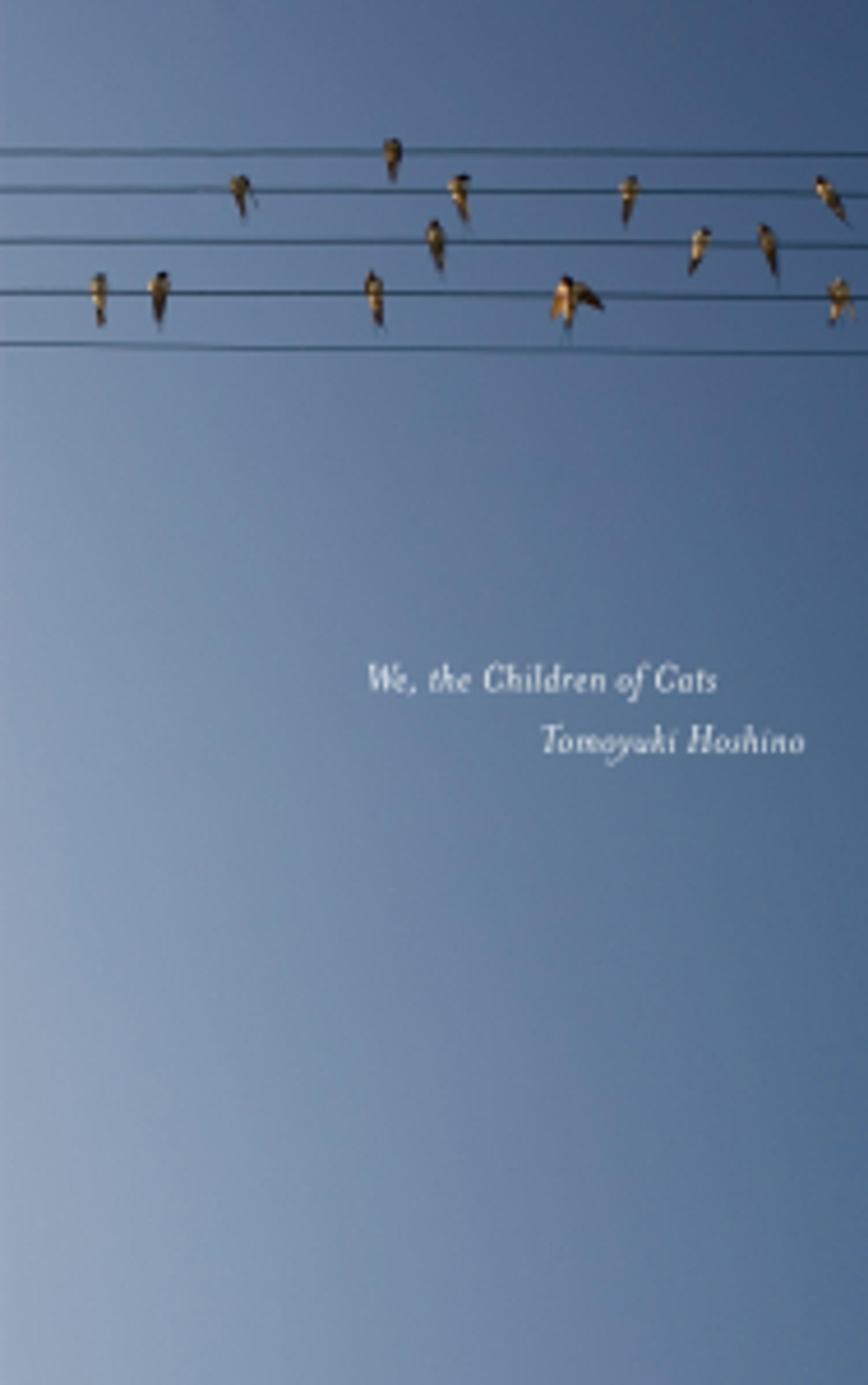 Cover of book titled We, the Children of Cats
