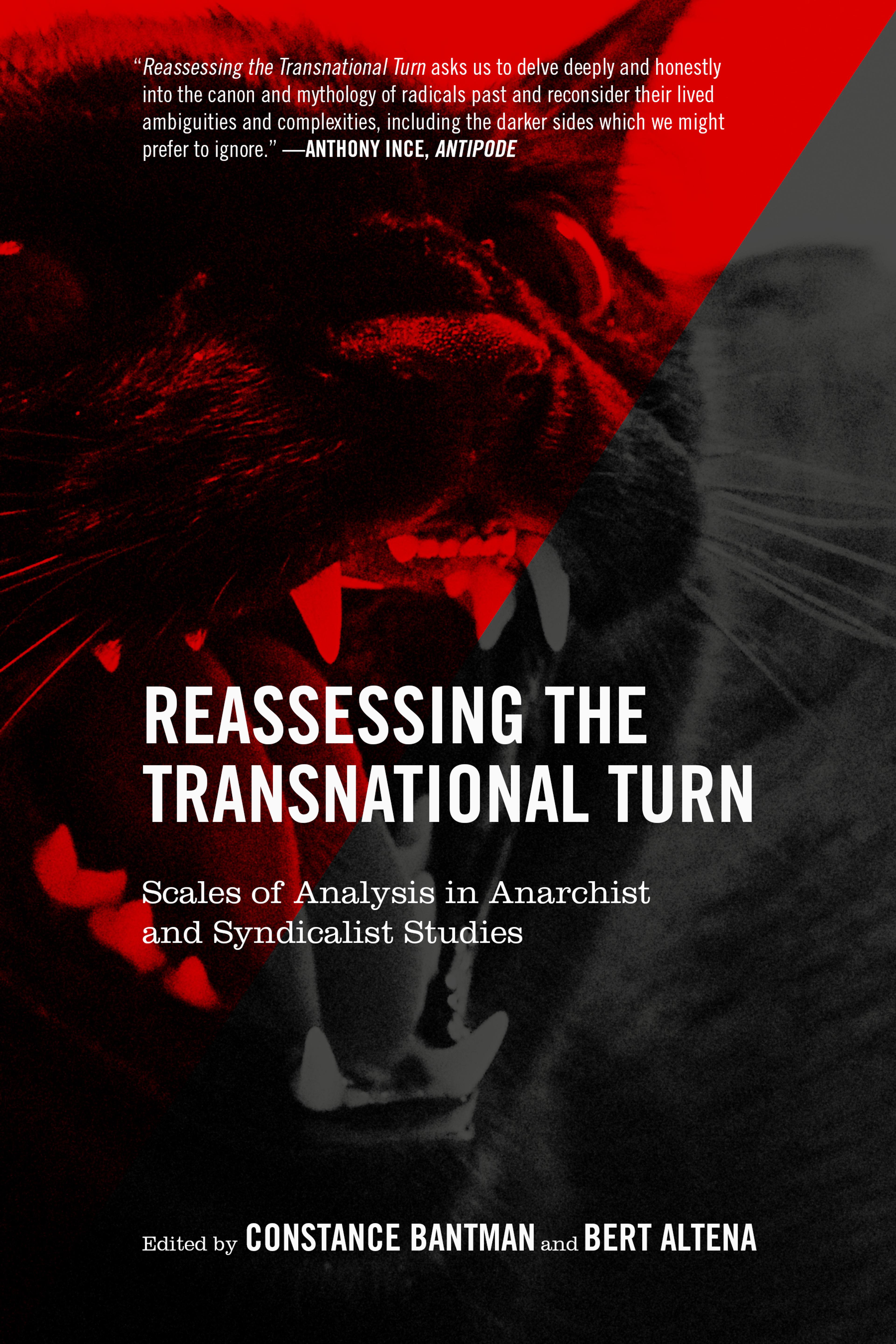 Cover of book titled Reassessing the Transnational Turn: Scales of Analysis in Anarchist and Syndicalist Studies