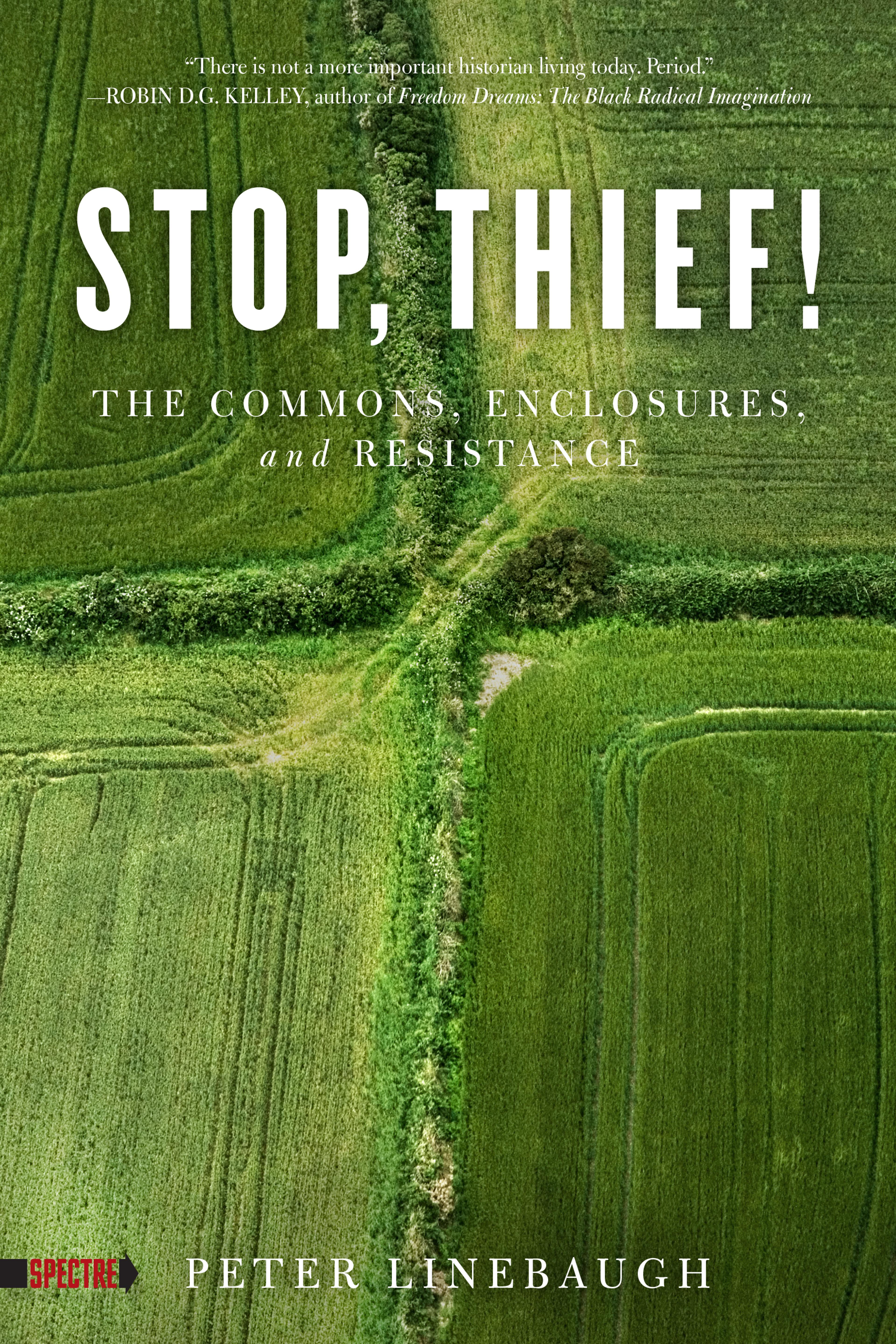 Cover of book titled Stop, Thief!: The Commons, Enclosures, and Resistance