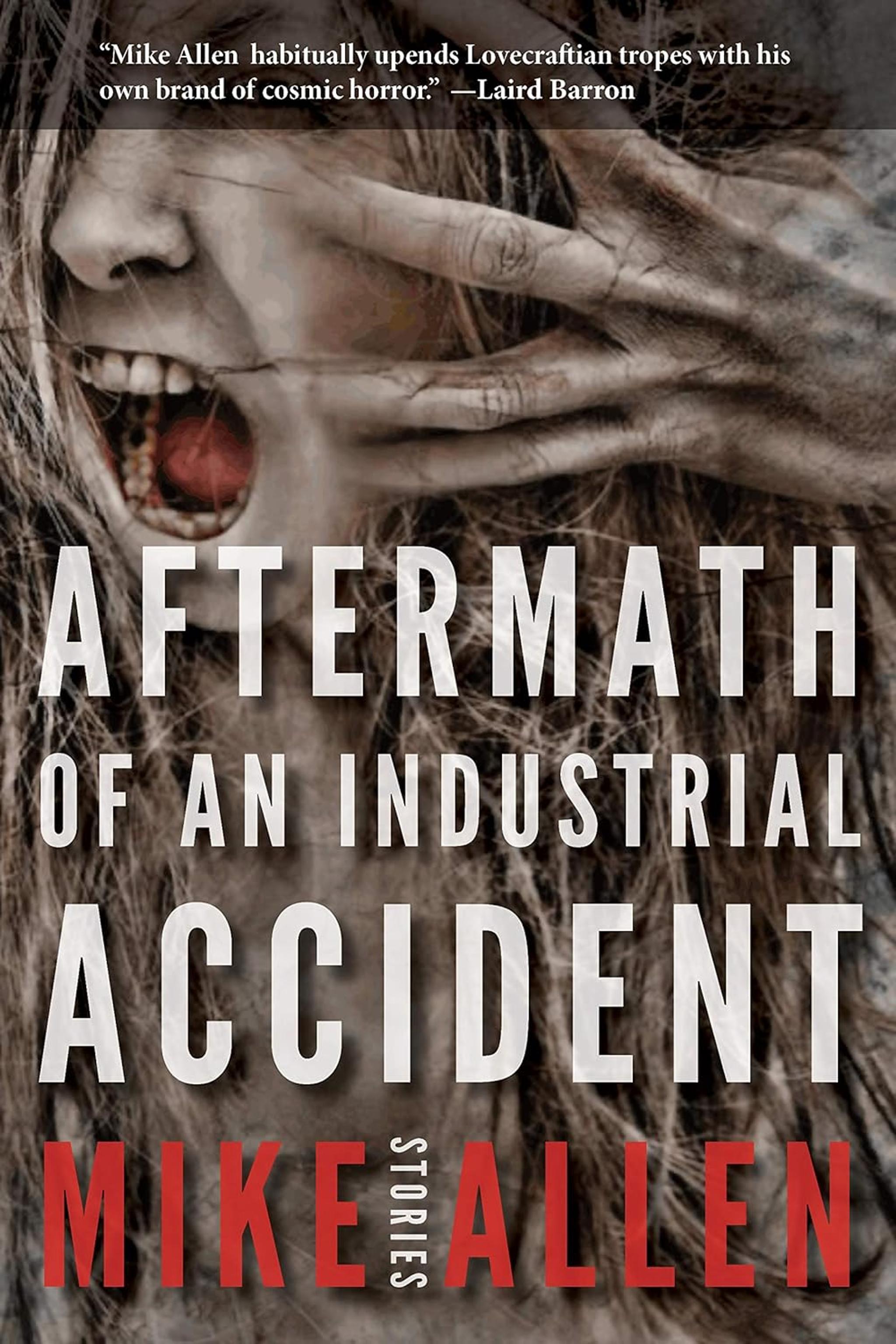 Cover of book titled Aftermath of an Industrial Accident