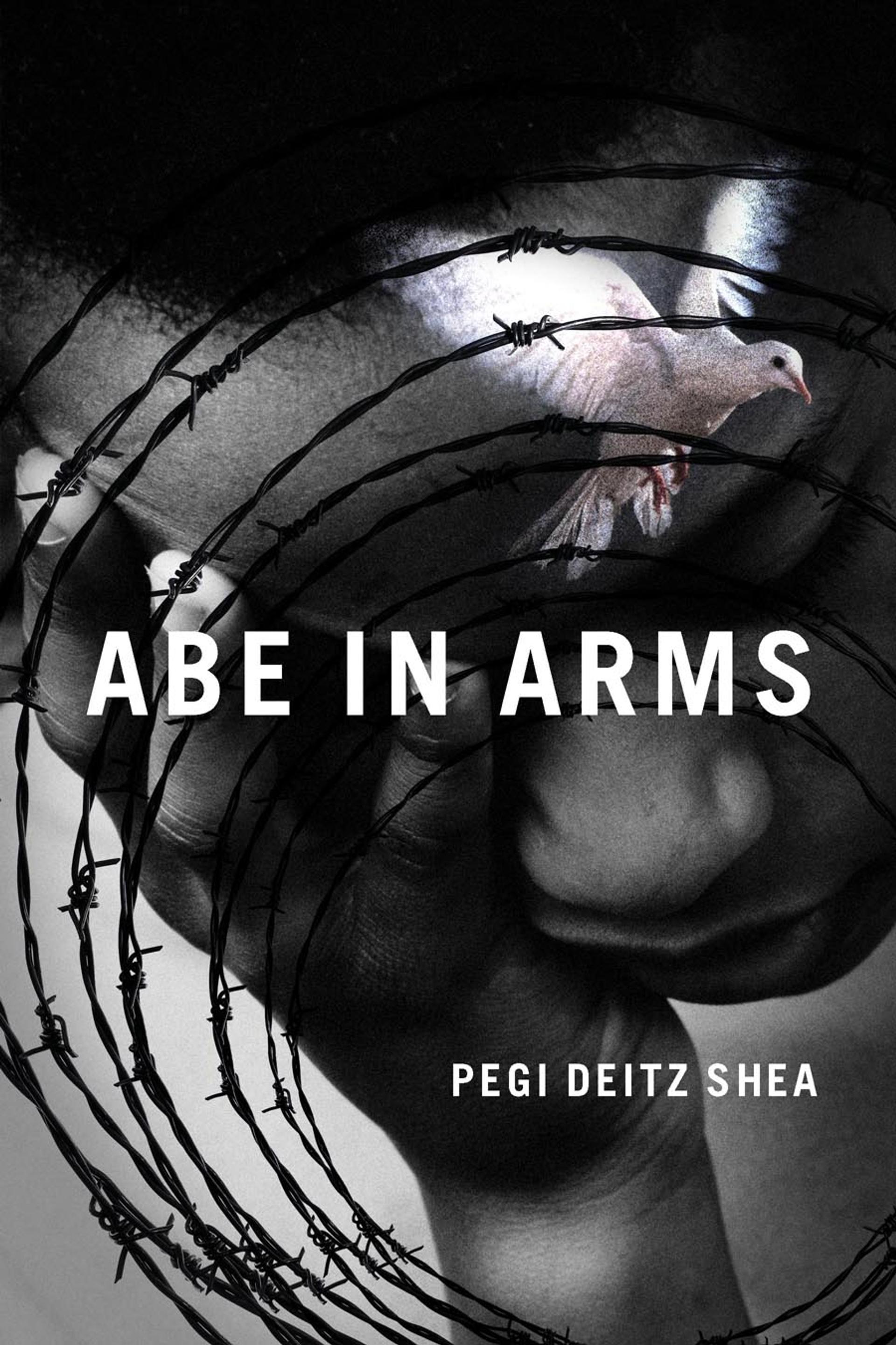 Cover of book titled Abe in Arms