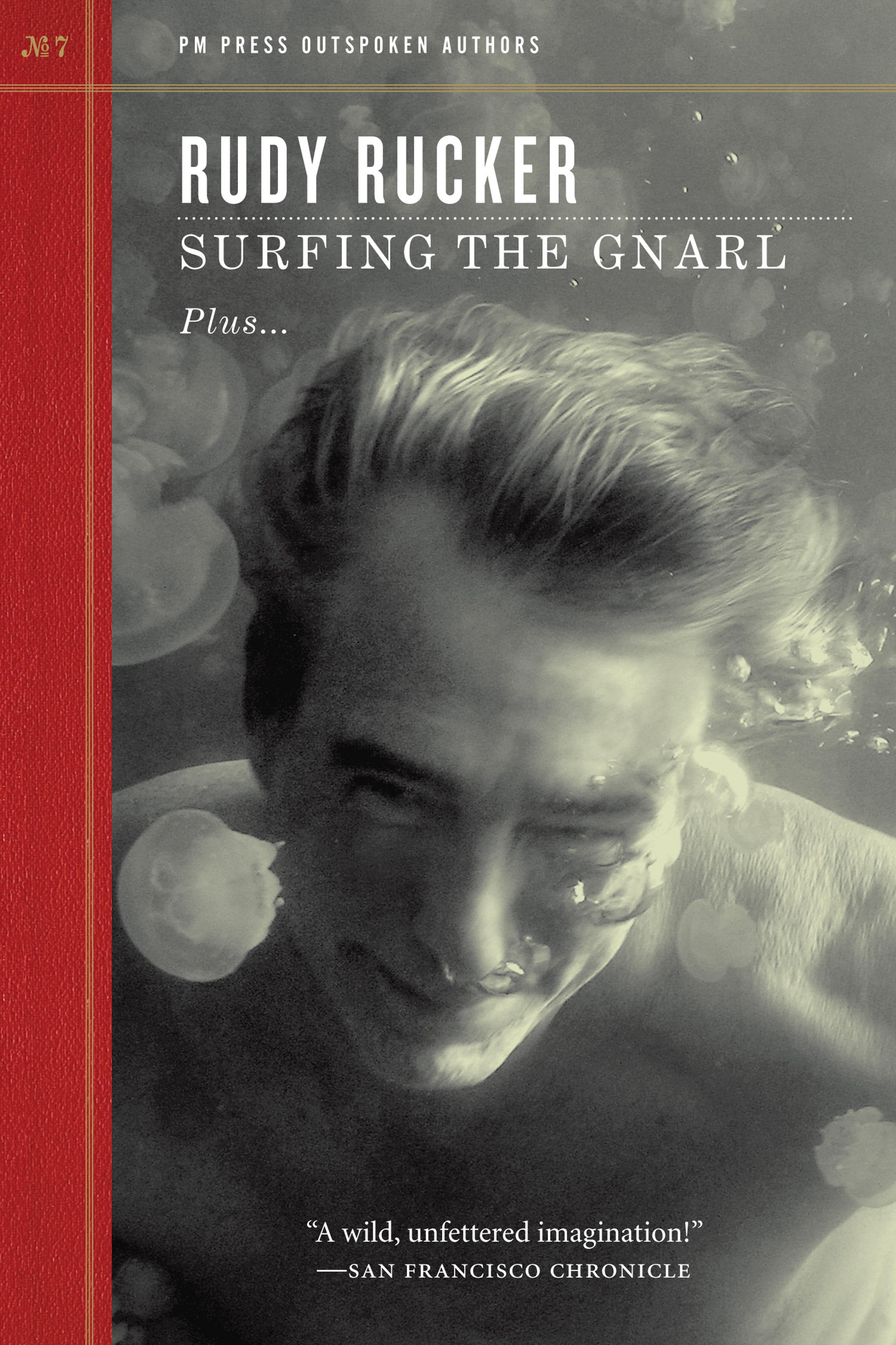 Cover of book titled Surfing the Gnarl