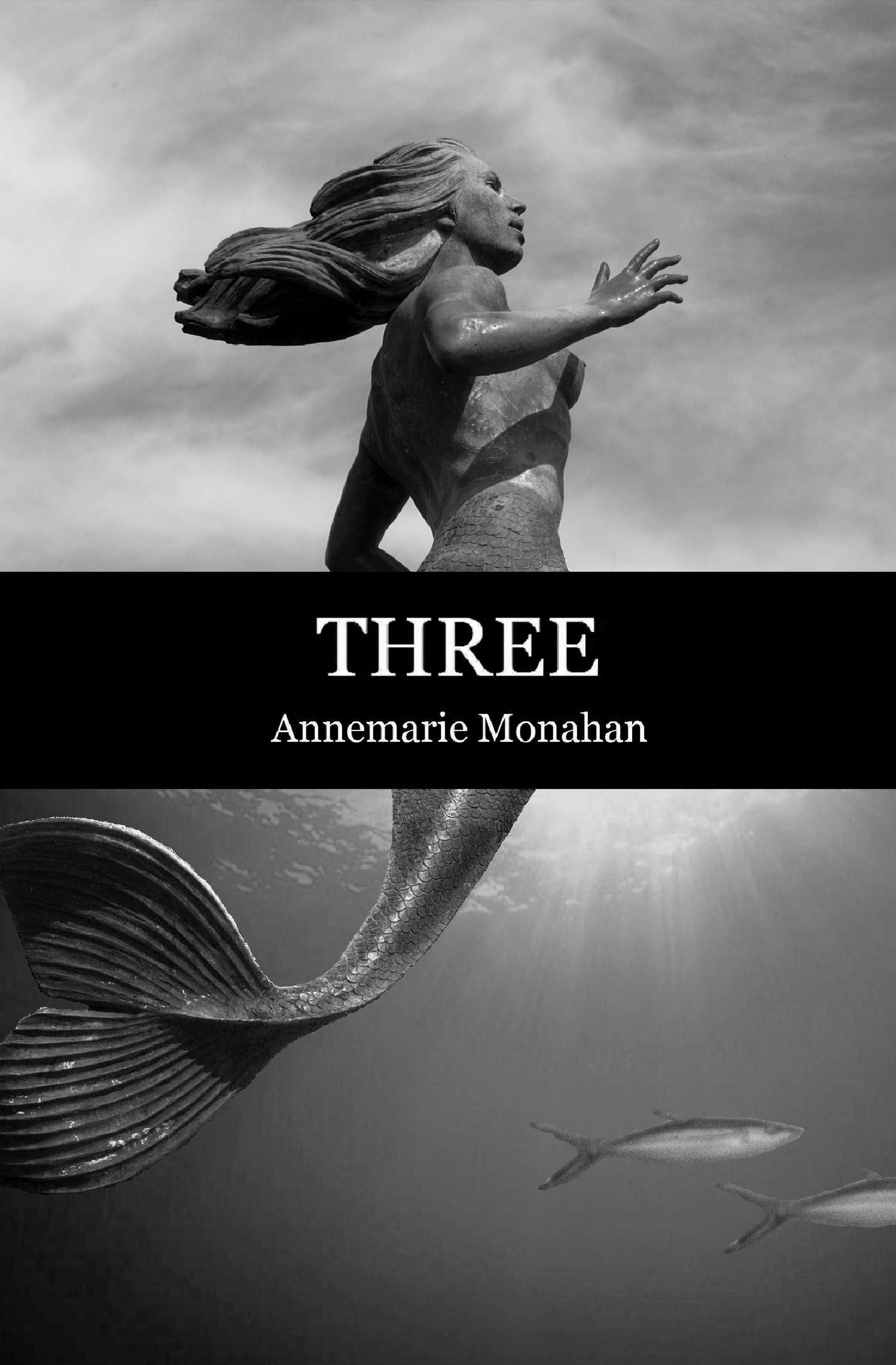 Cover of book titled Three