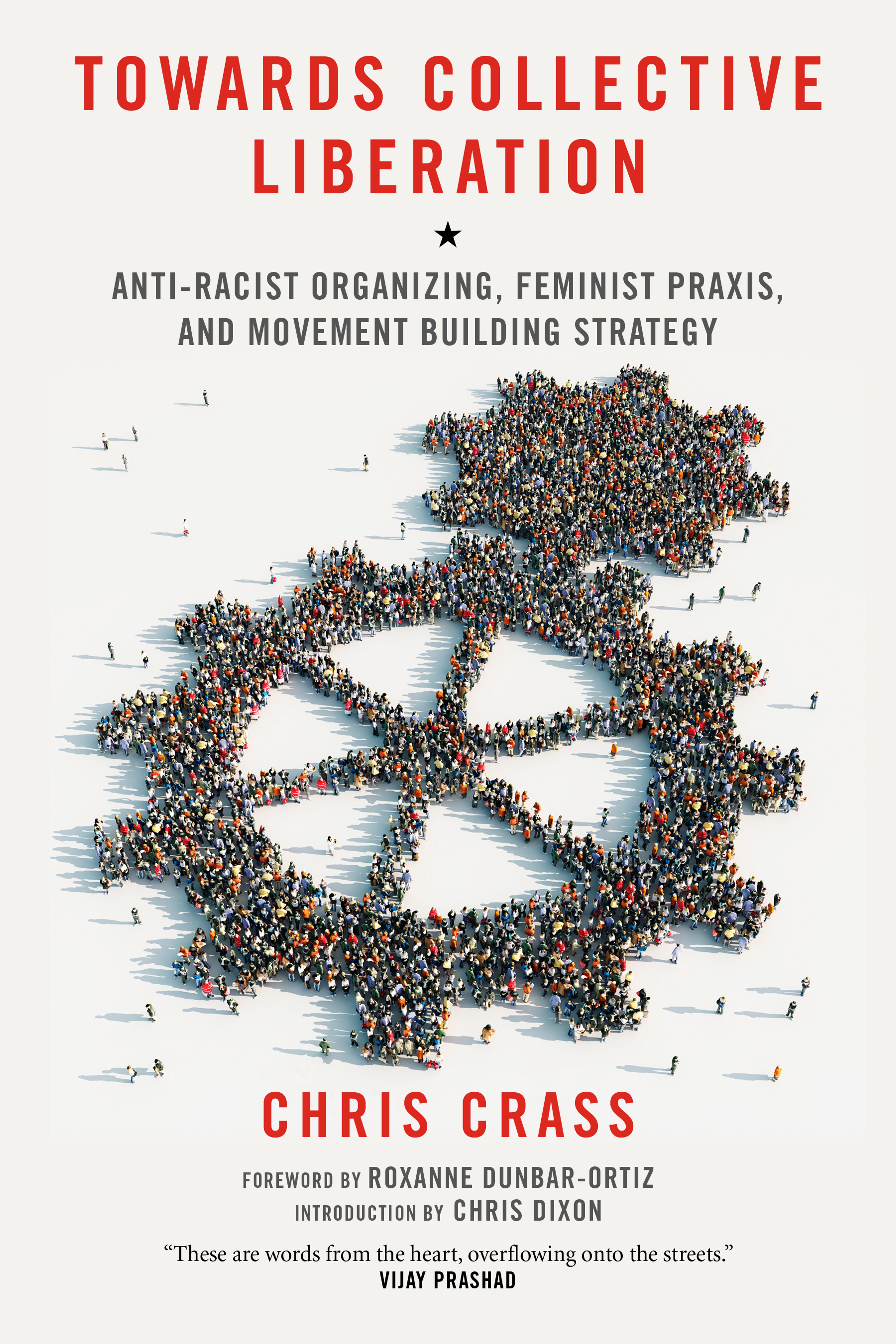 Cover of book titled Towards Collective Liberation: Anti-Racist Organizing, Feminist Praxis, and Movement Building Strategy