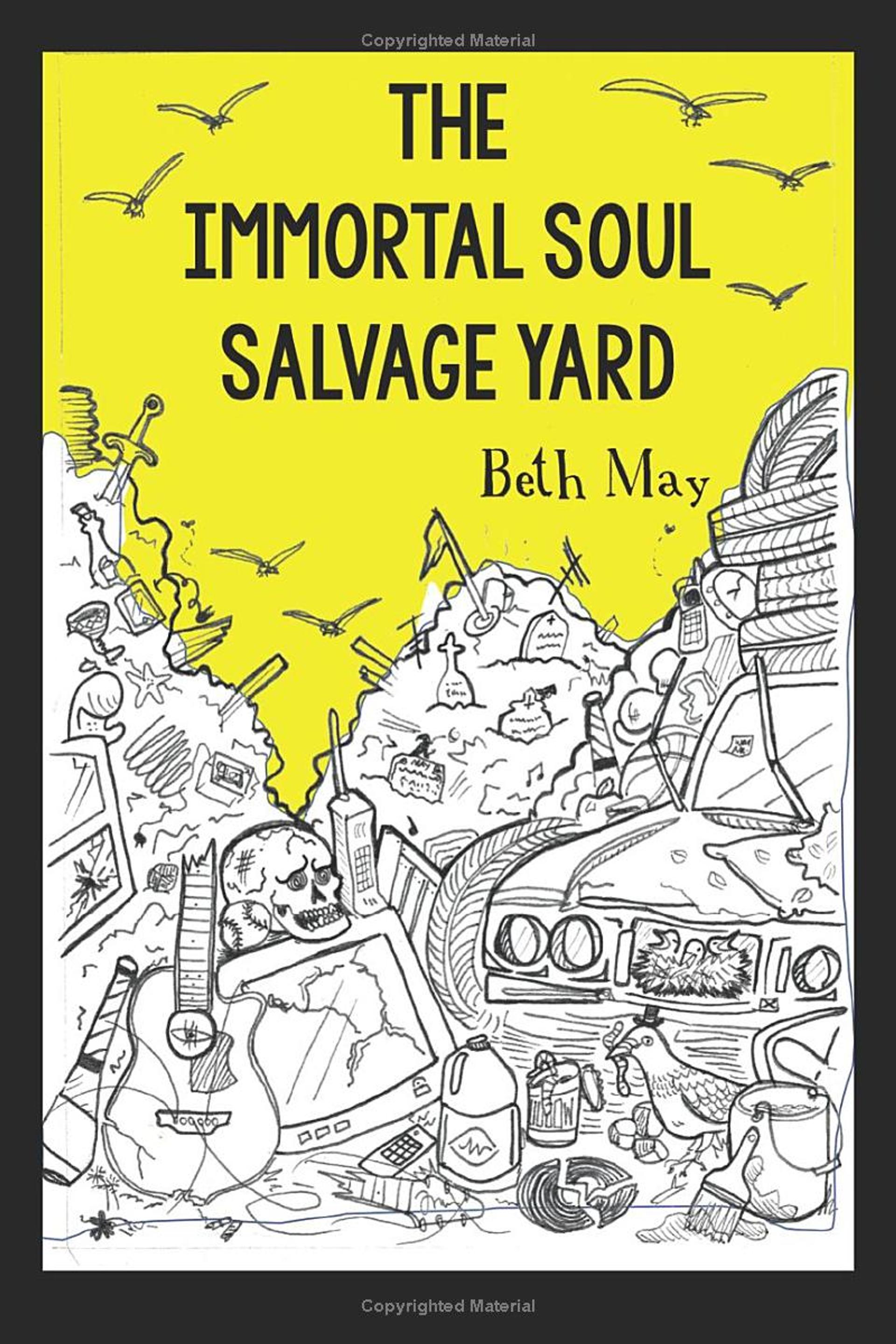 Cover of book titled Immortal Soul Salvage Yard 