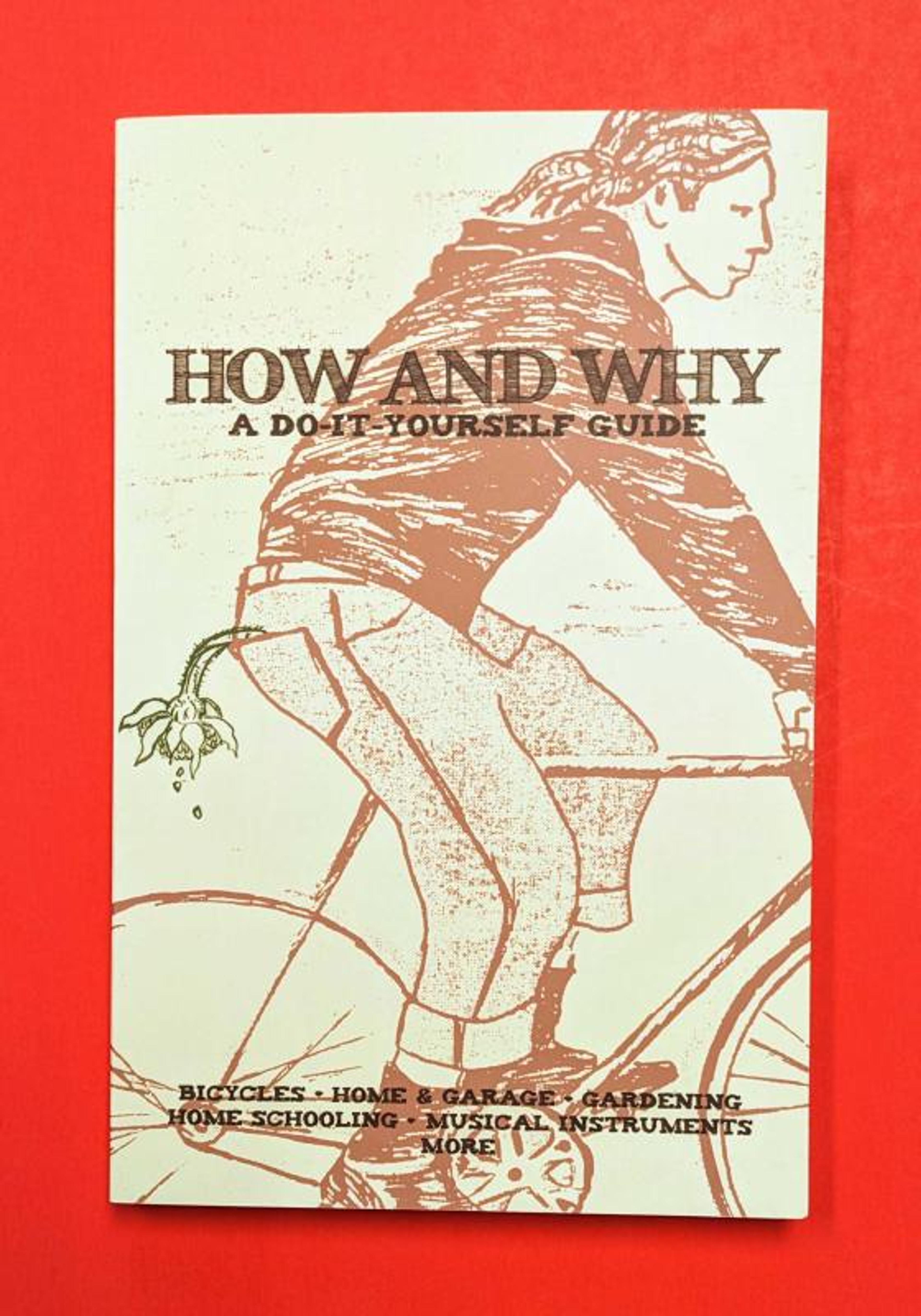Cover of book titled How and Why: A Do-It-Yourself Guide