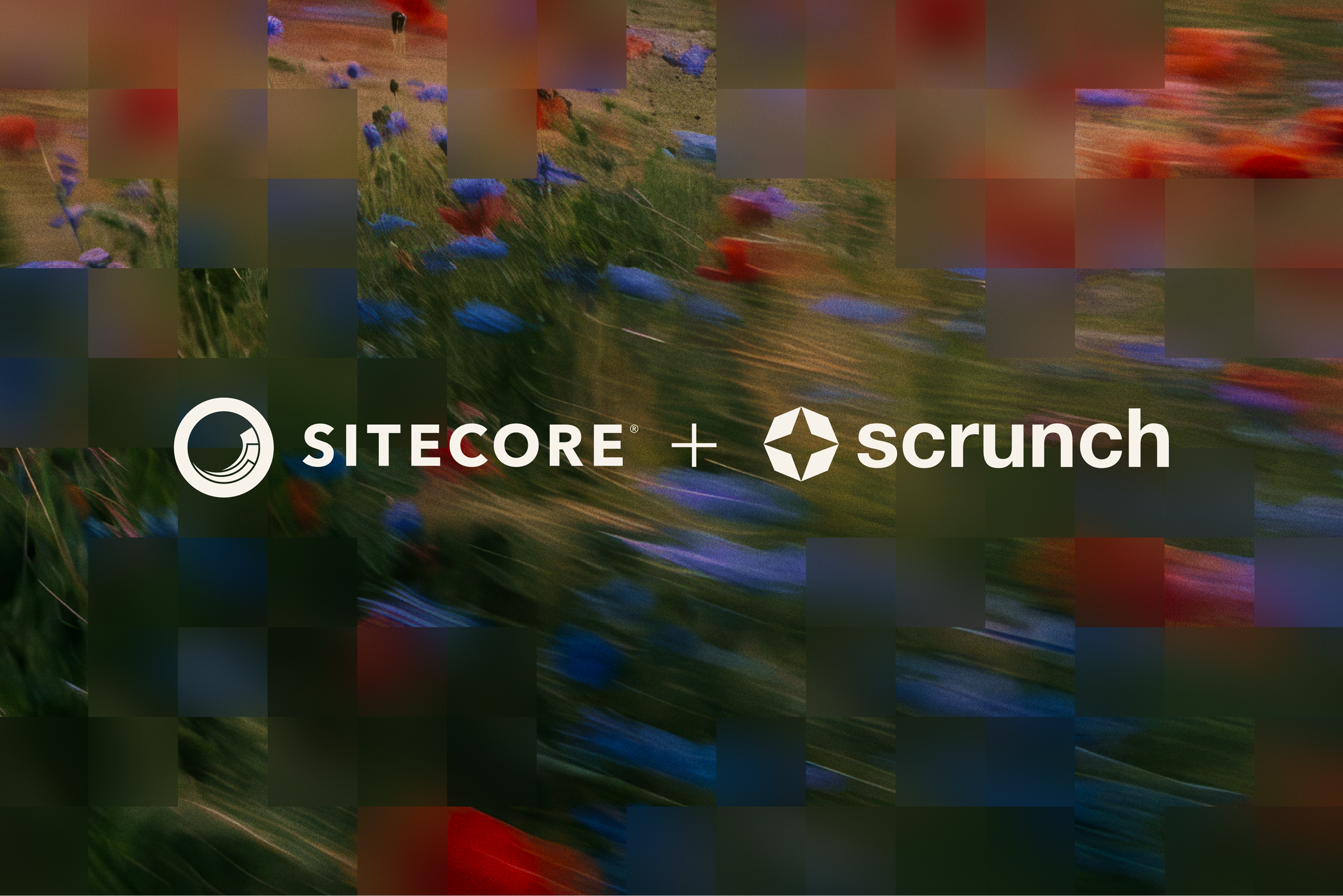 Learn how Scrunch and Sitecore are creating a tighter connection between AI-driven discovery and customer decision.