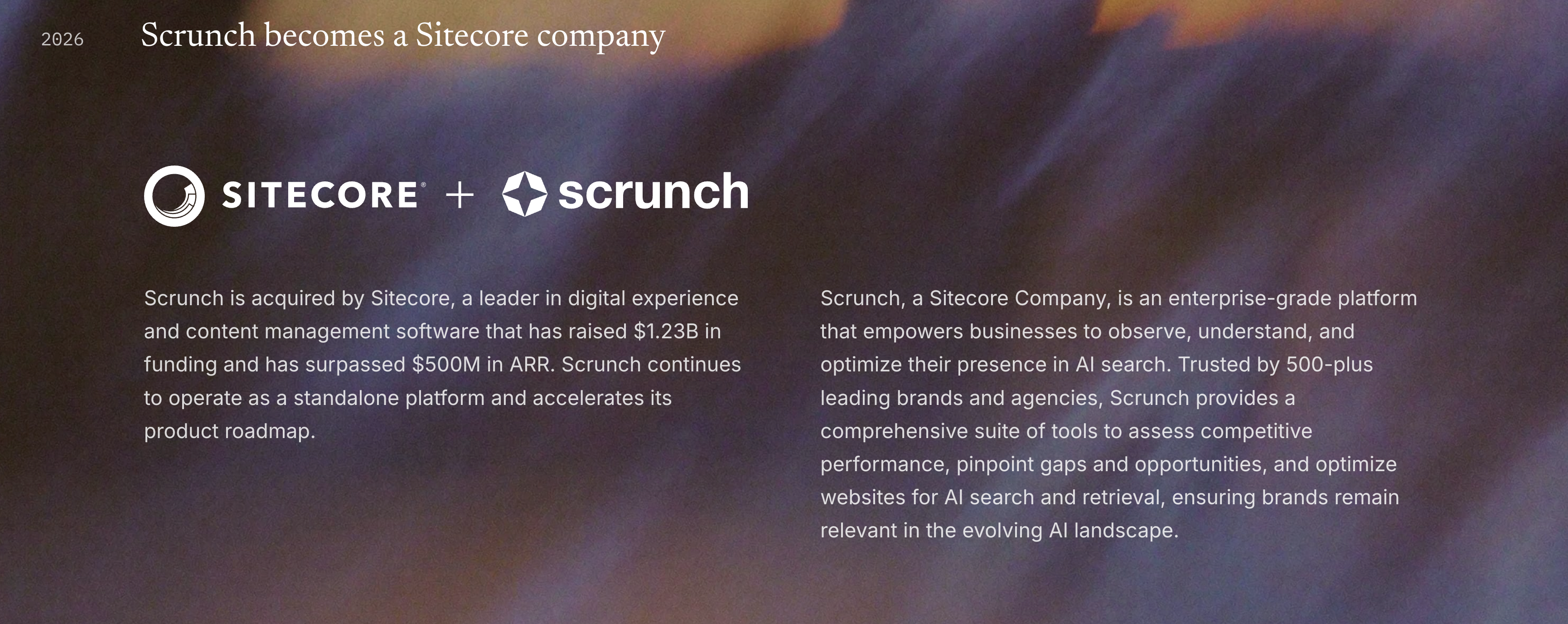 Image from About page on Scrunch website Image from About page on Scrunch website