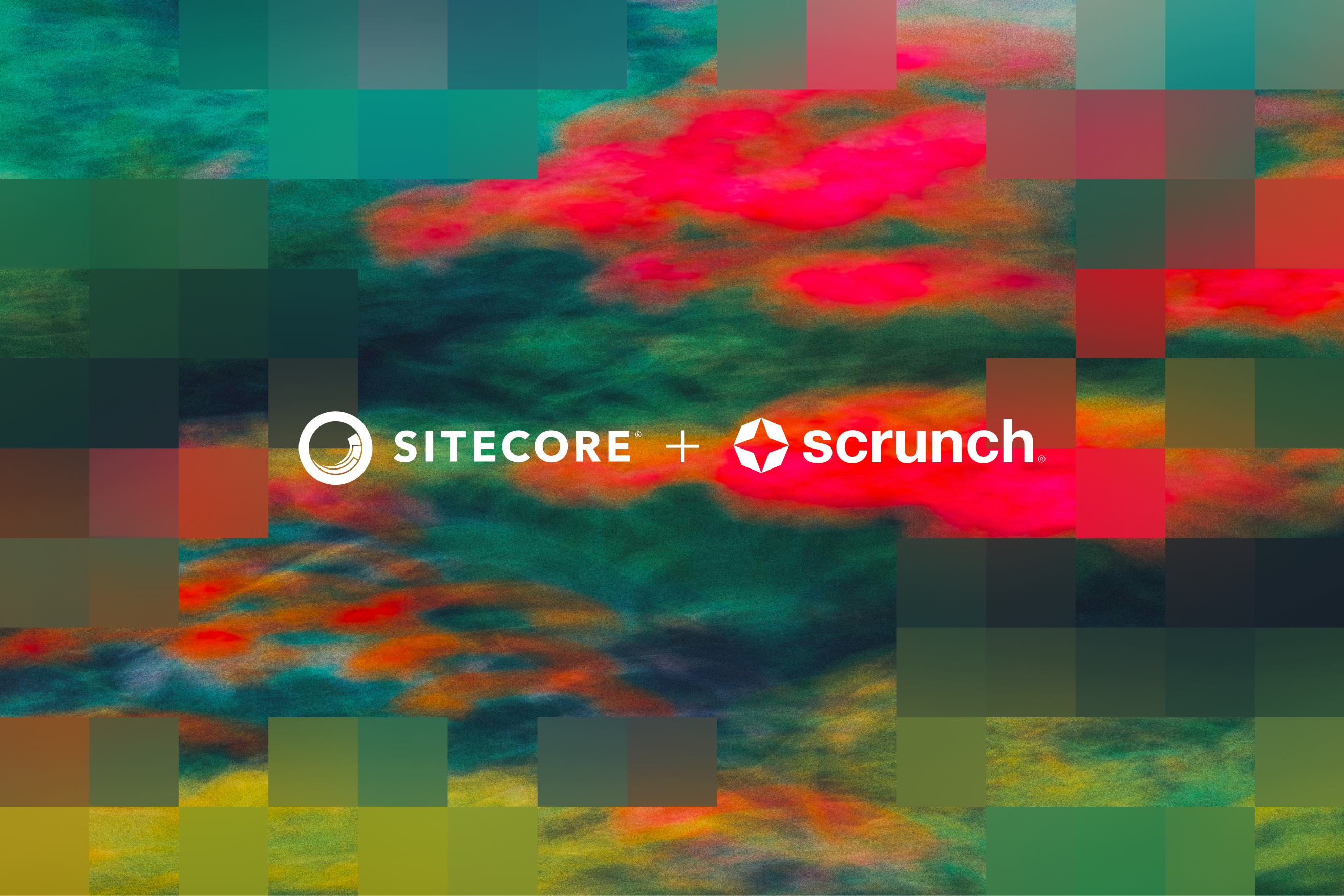 Introducing Scrunch in SitecoreAI: Observe, optimize, and ship in one place