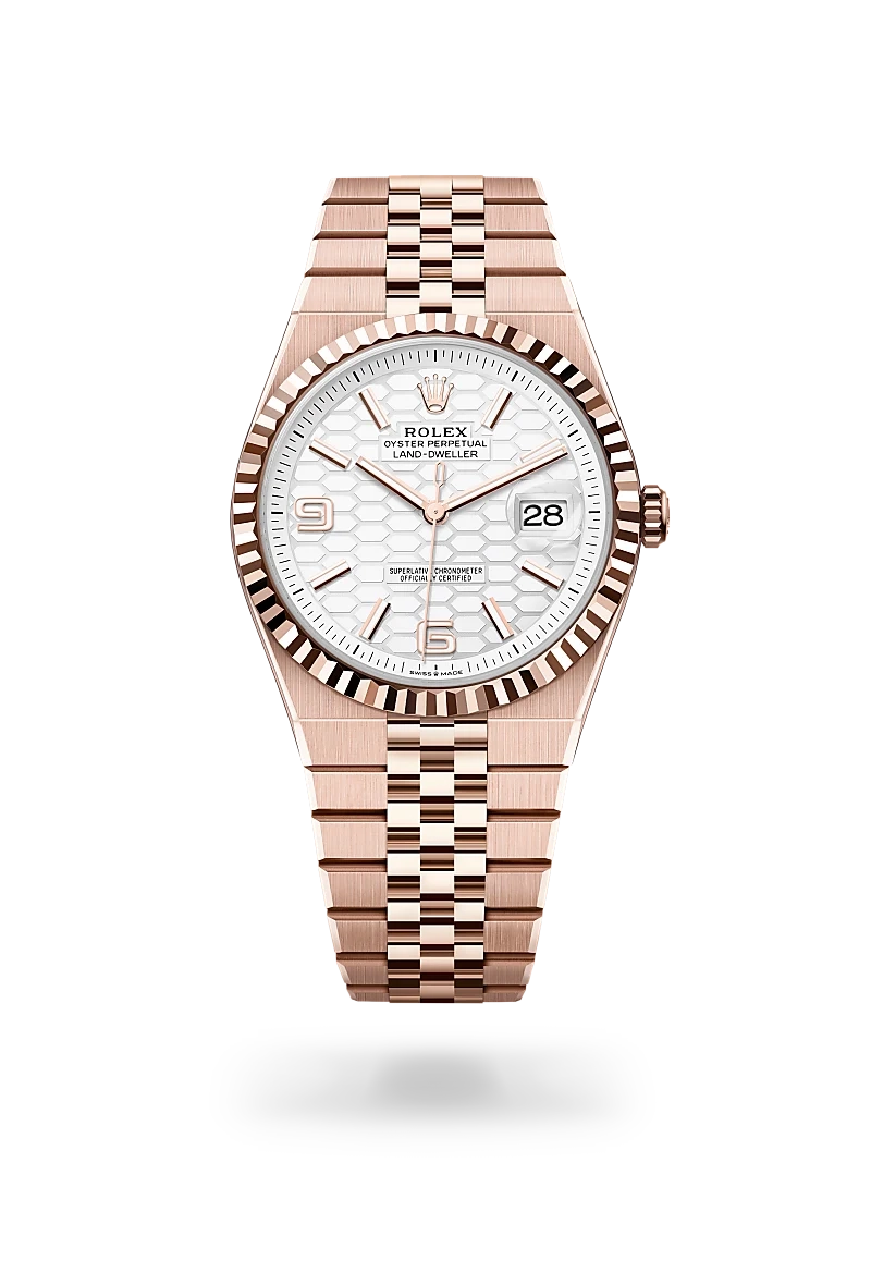Rolex Land-Dweller 40, Oyster, 40 mm, or Everose | Château d'Ivoire