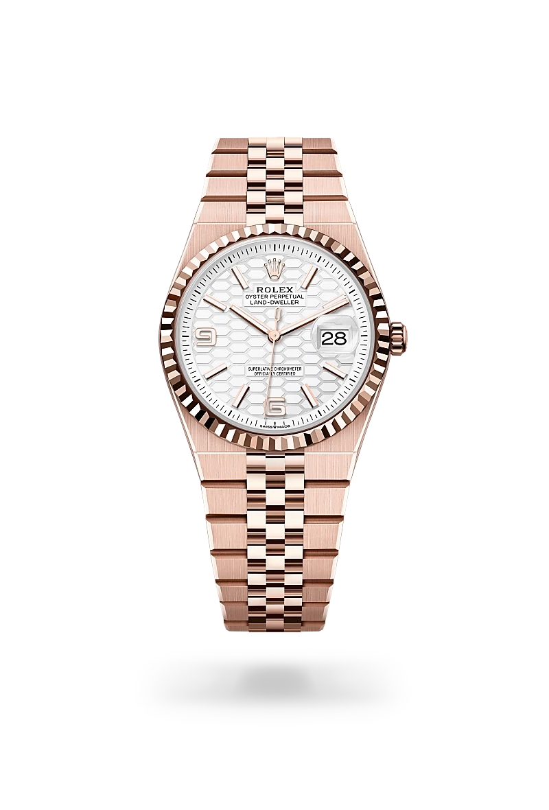 Rolex Land-Dweller 36, Oyster, 36 mm, or Everose | Château d'Ivoire
