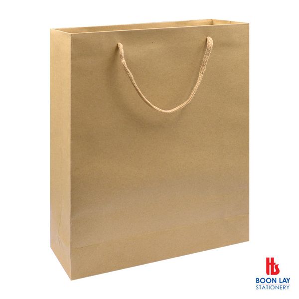 Kraft Paper Bag Vertical 24x8x33cm - Pack of 12's (KPBV-M)