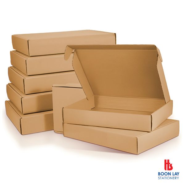 Carton Box Pizza Style 250x200x70mm - Pack of 10's (H39)