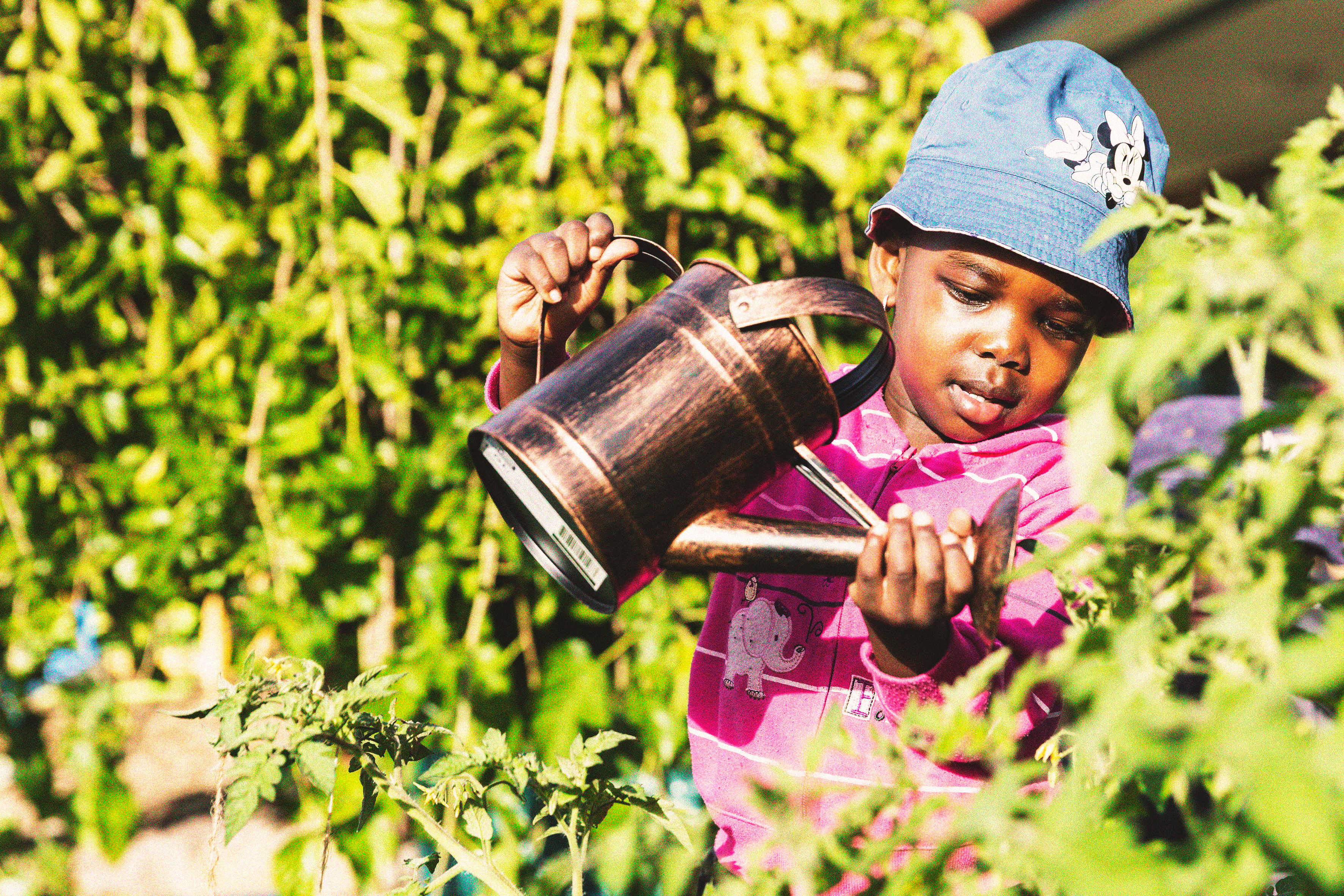 A young girl watering plants