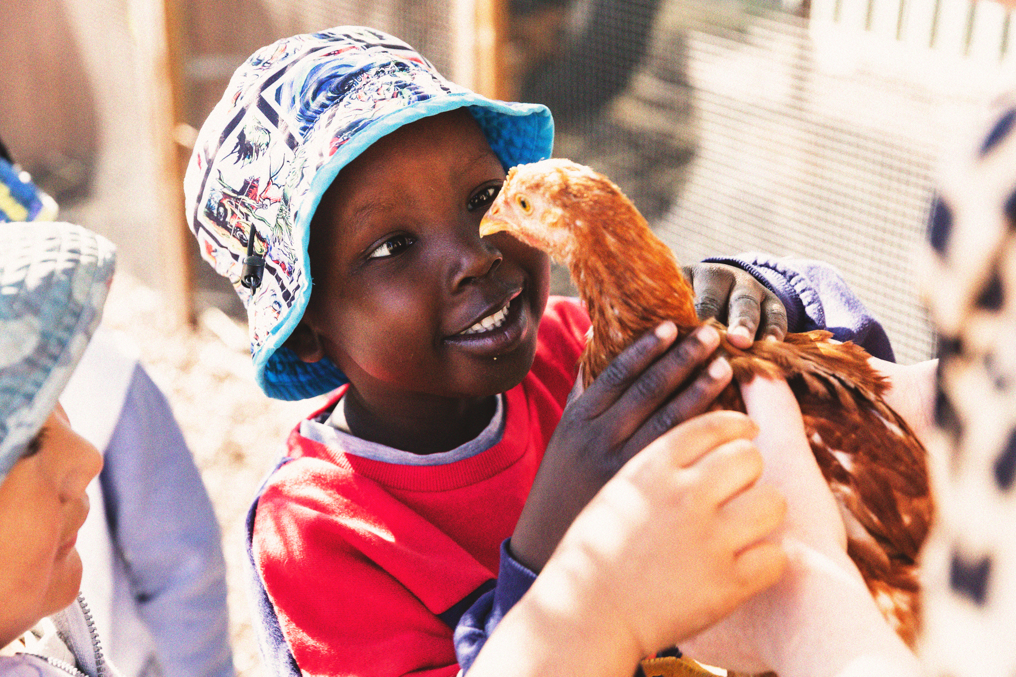 A young boy holding a chicken