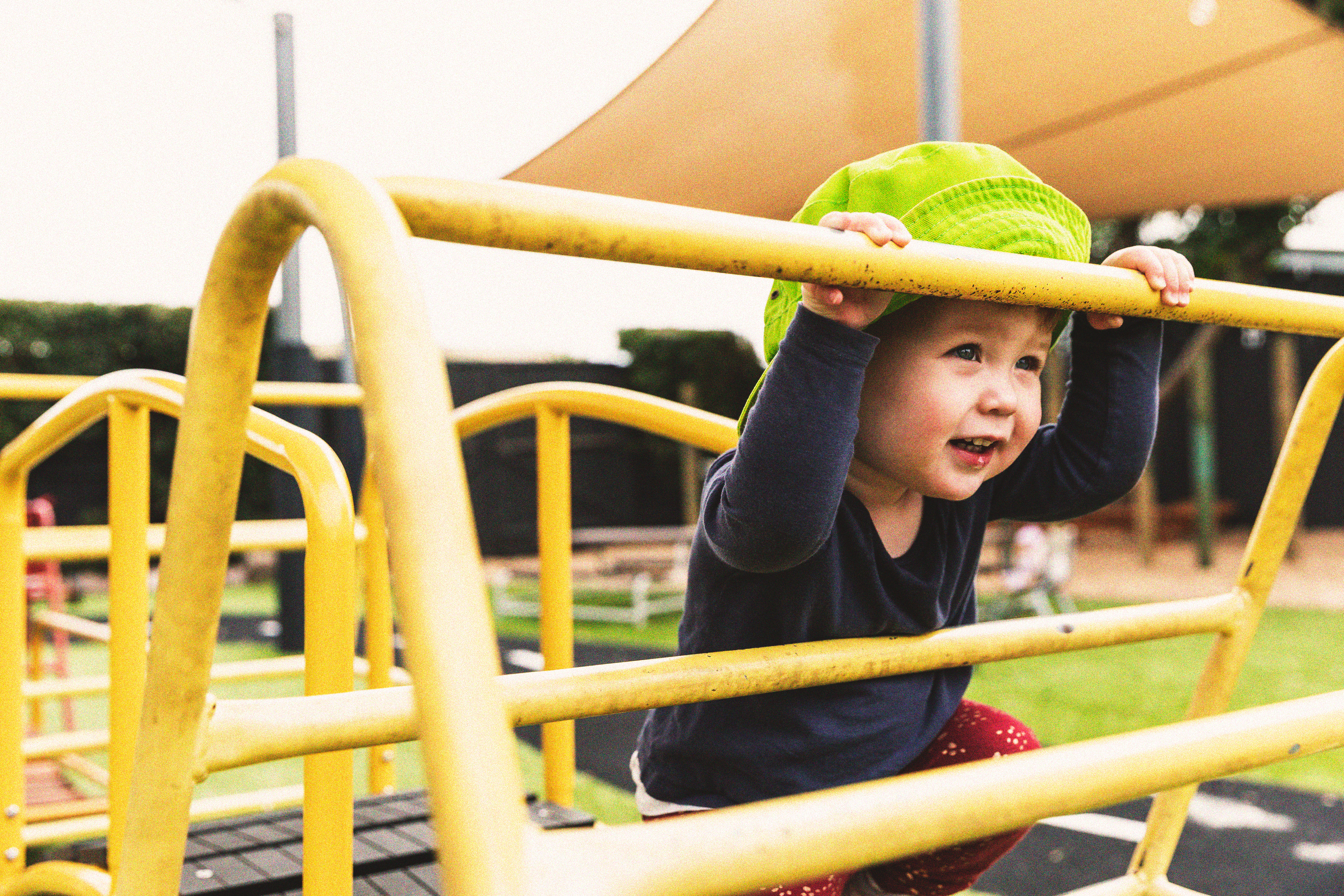 A young girl on a climbing frame