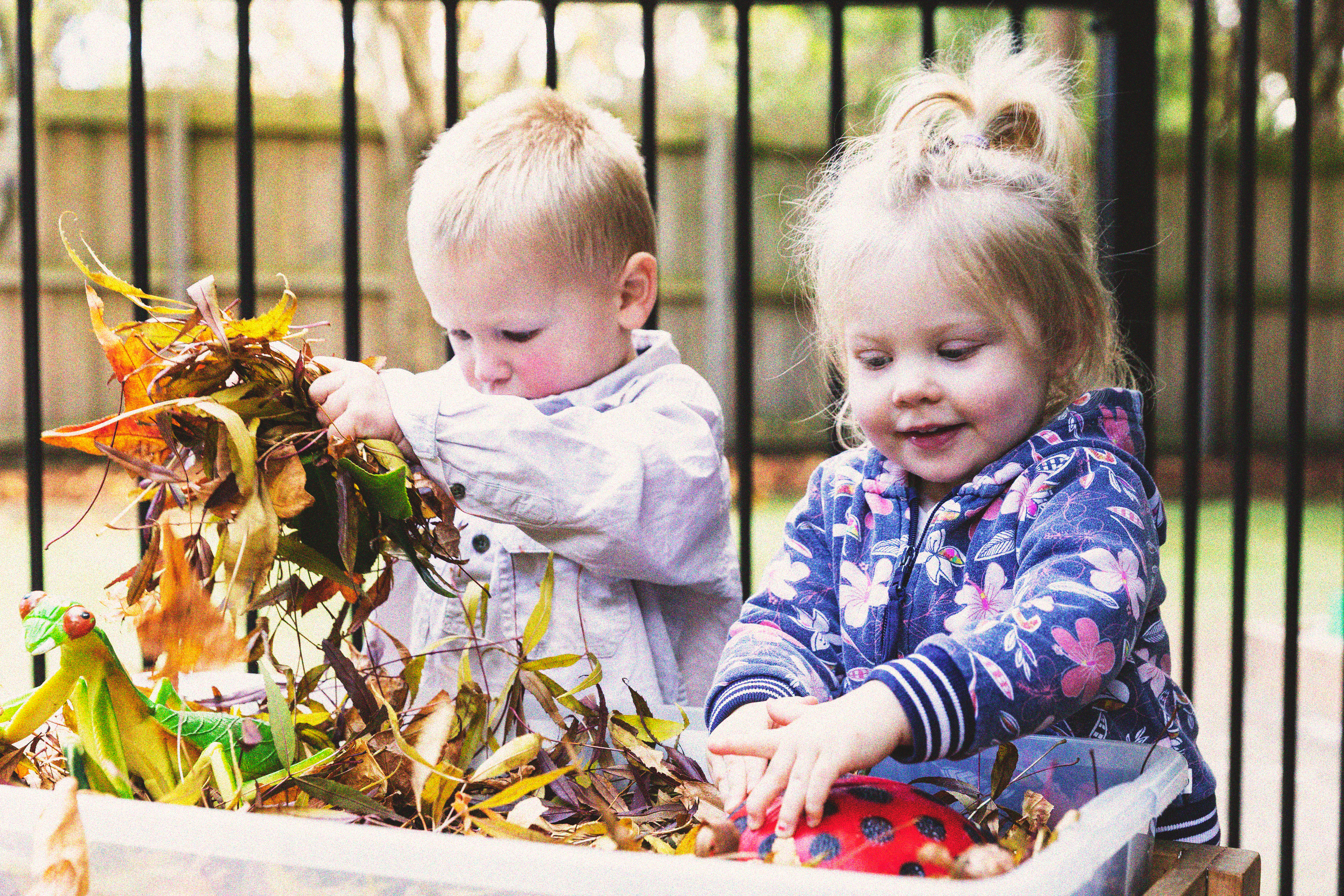 Two young children playing with leaves