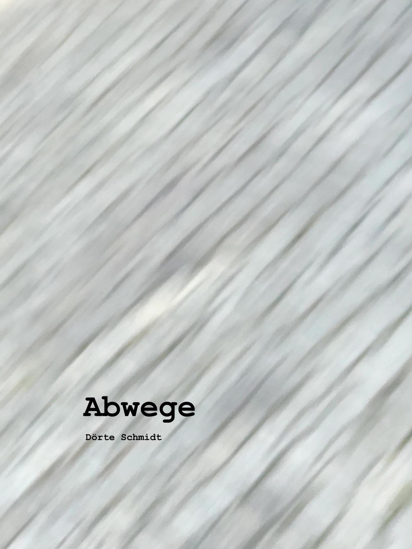 Abwege von Dörte Schmidt