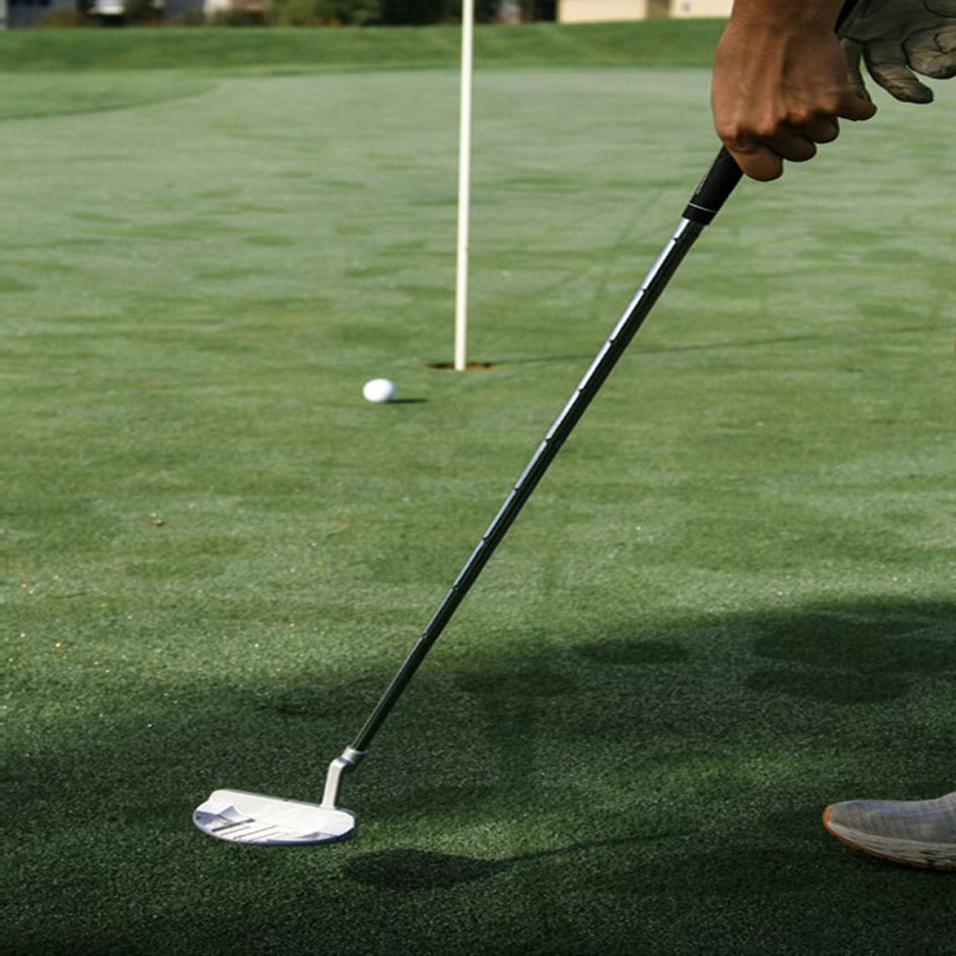 EliteSwing Golf Club reward image