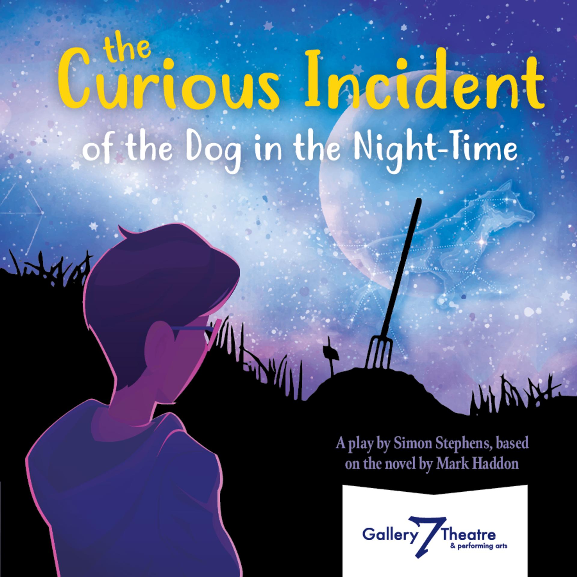 Curious Incident of the Dog in the Night-Time