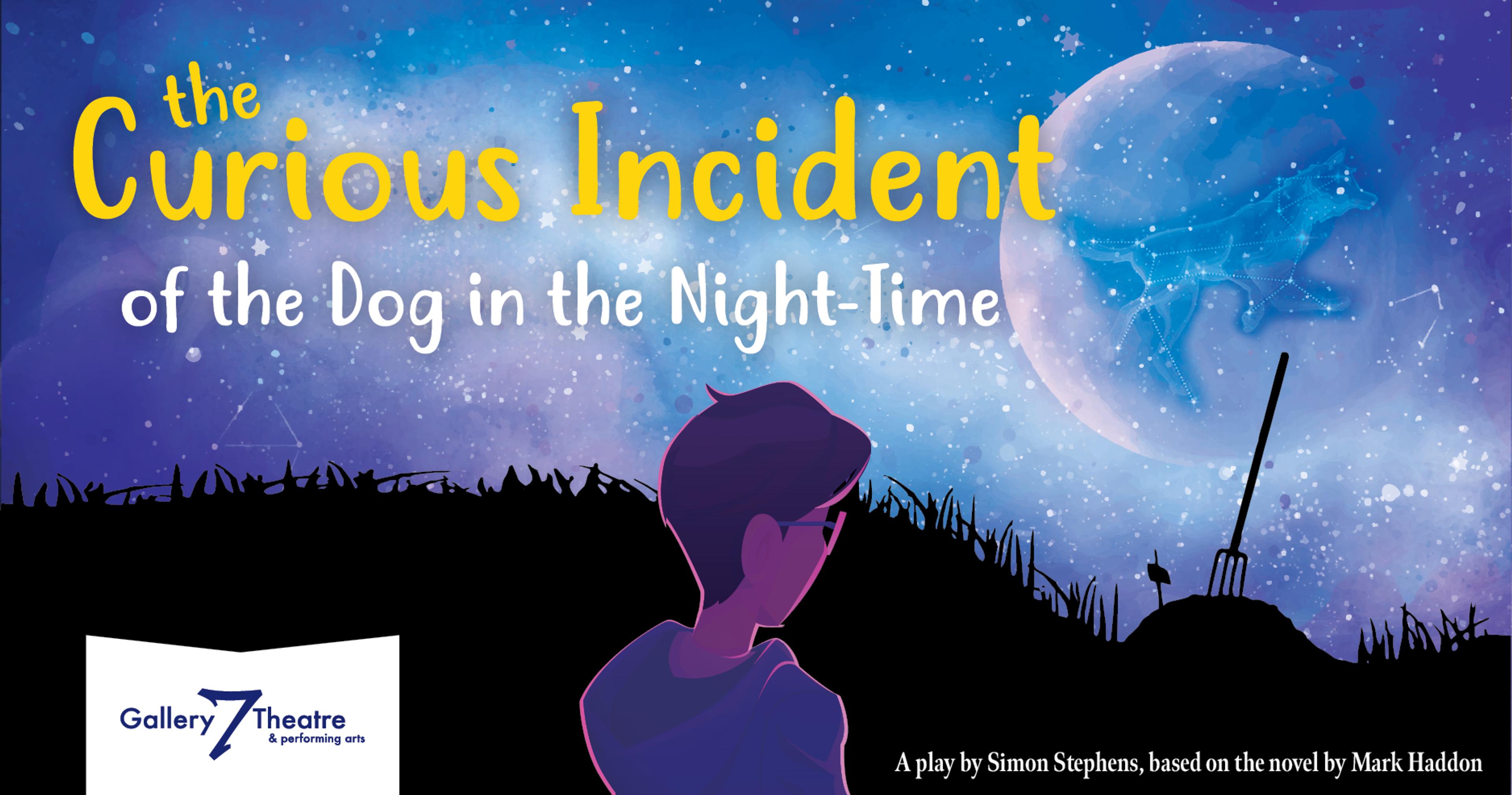 Curious Incident of the Dog in the Night-Time