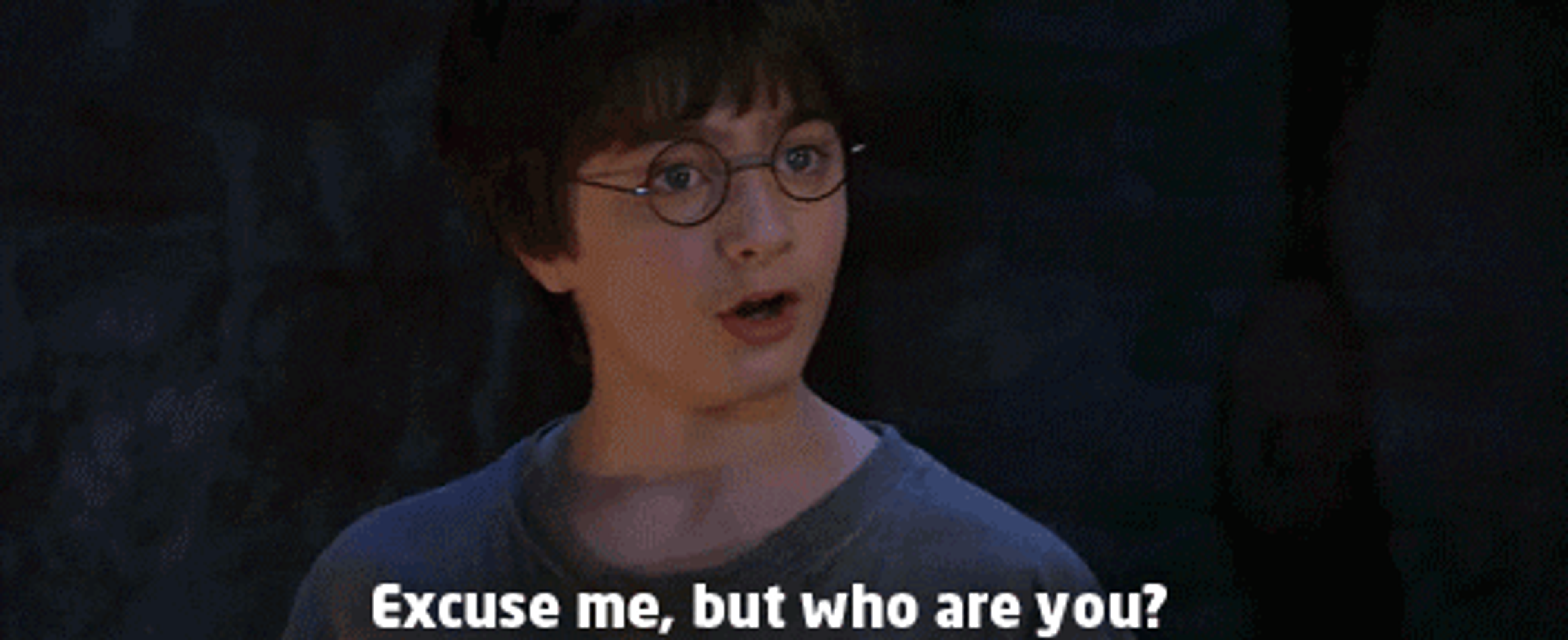An image of Harry Potter asking "Excuse me, but who are you?"